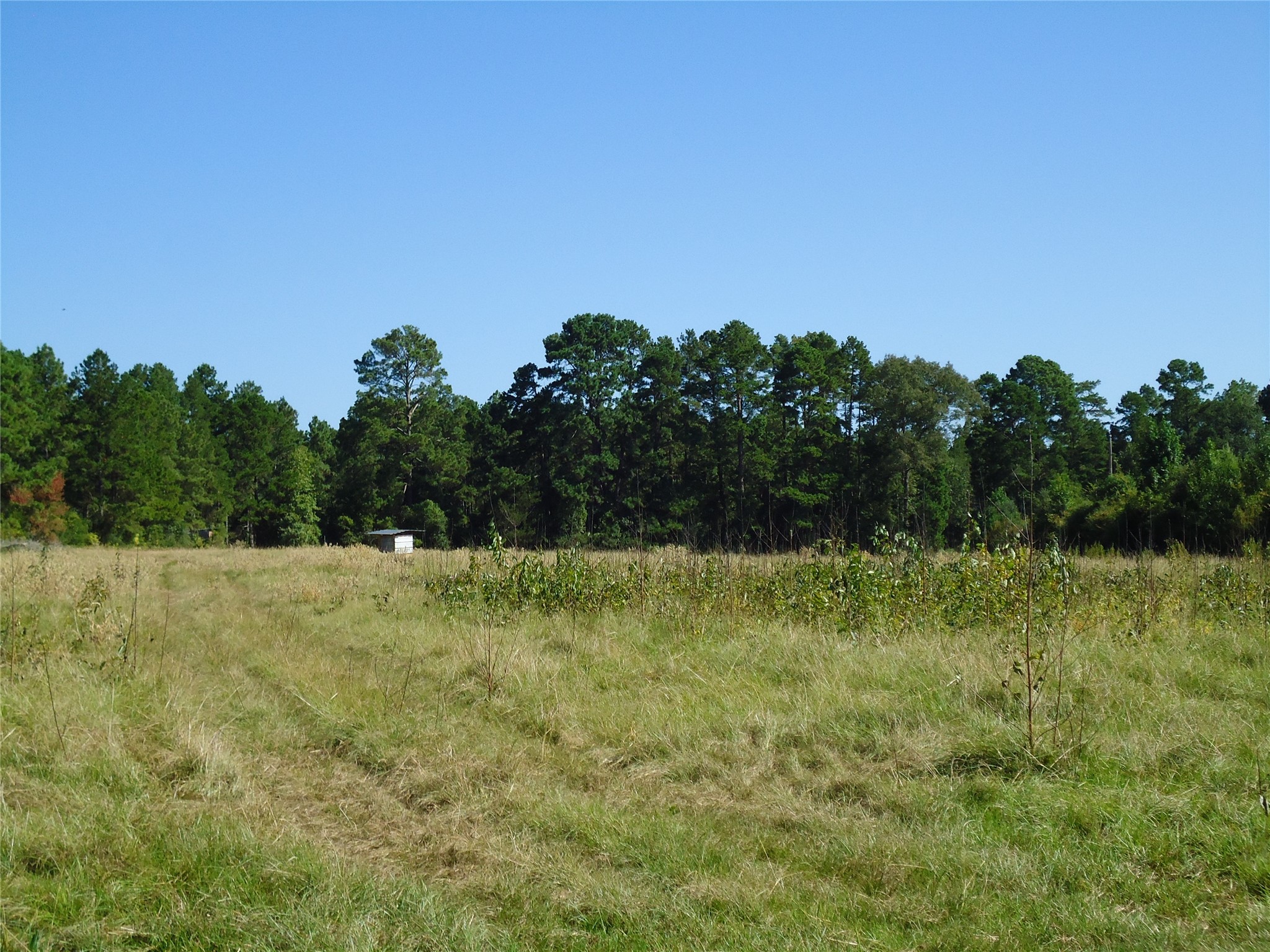 788 Fm-2781 Property Photo 10