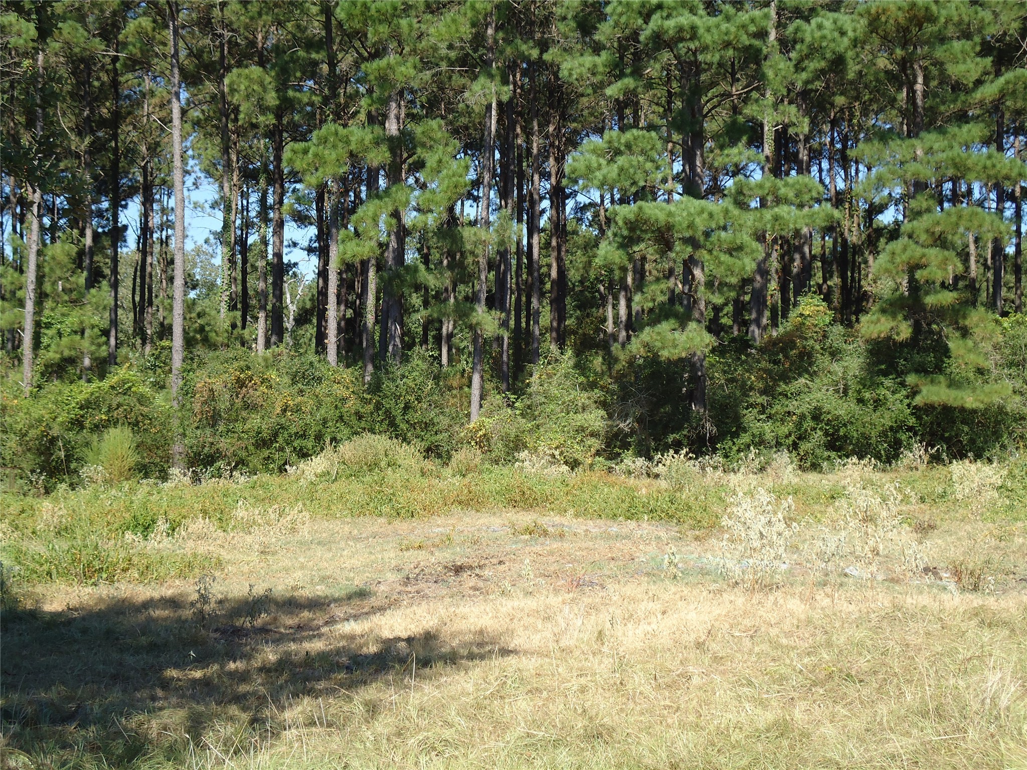 788 Fm-2781 Property Photo 11
