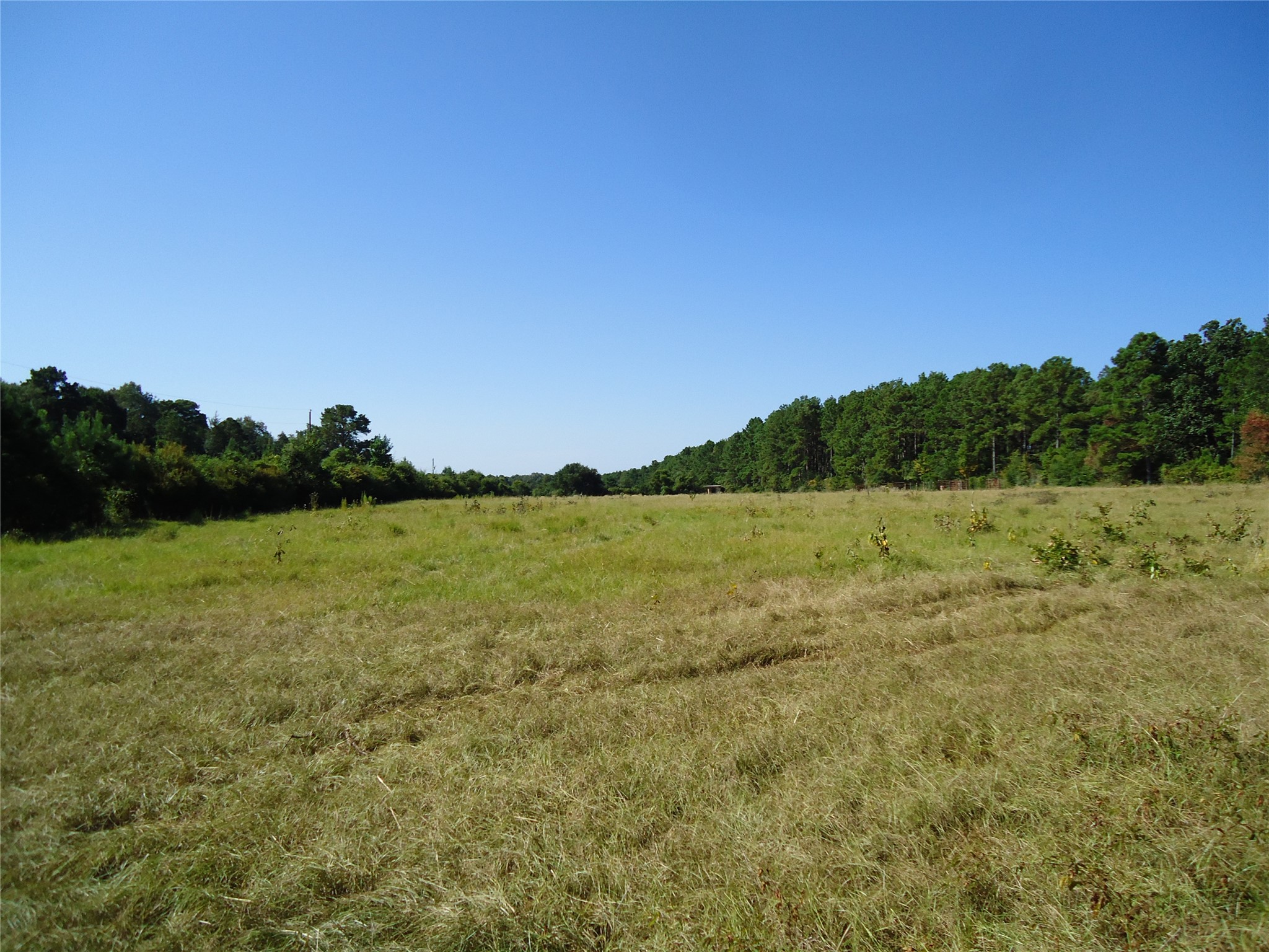 788 Fm-2781 Property Photo 12