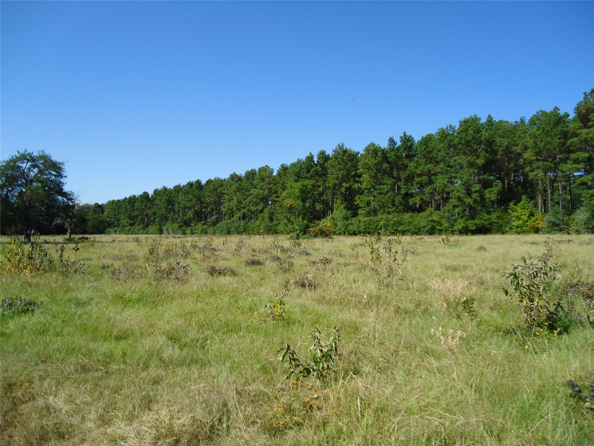 788 Fm-2781 Property Photo 14