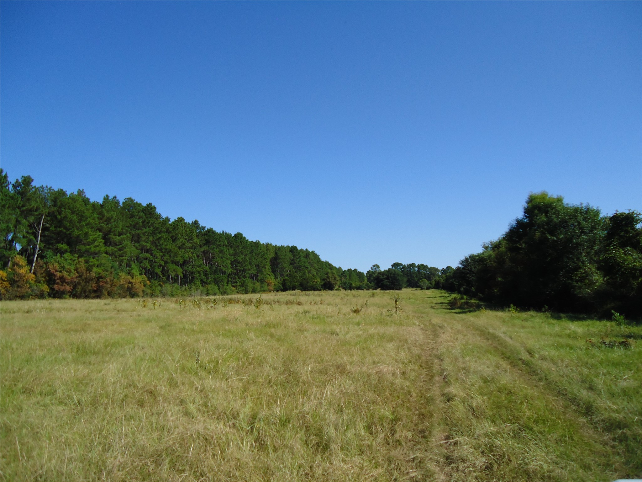788 Fm-2781 Property Photo 15