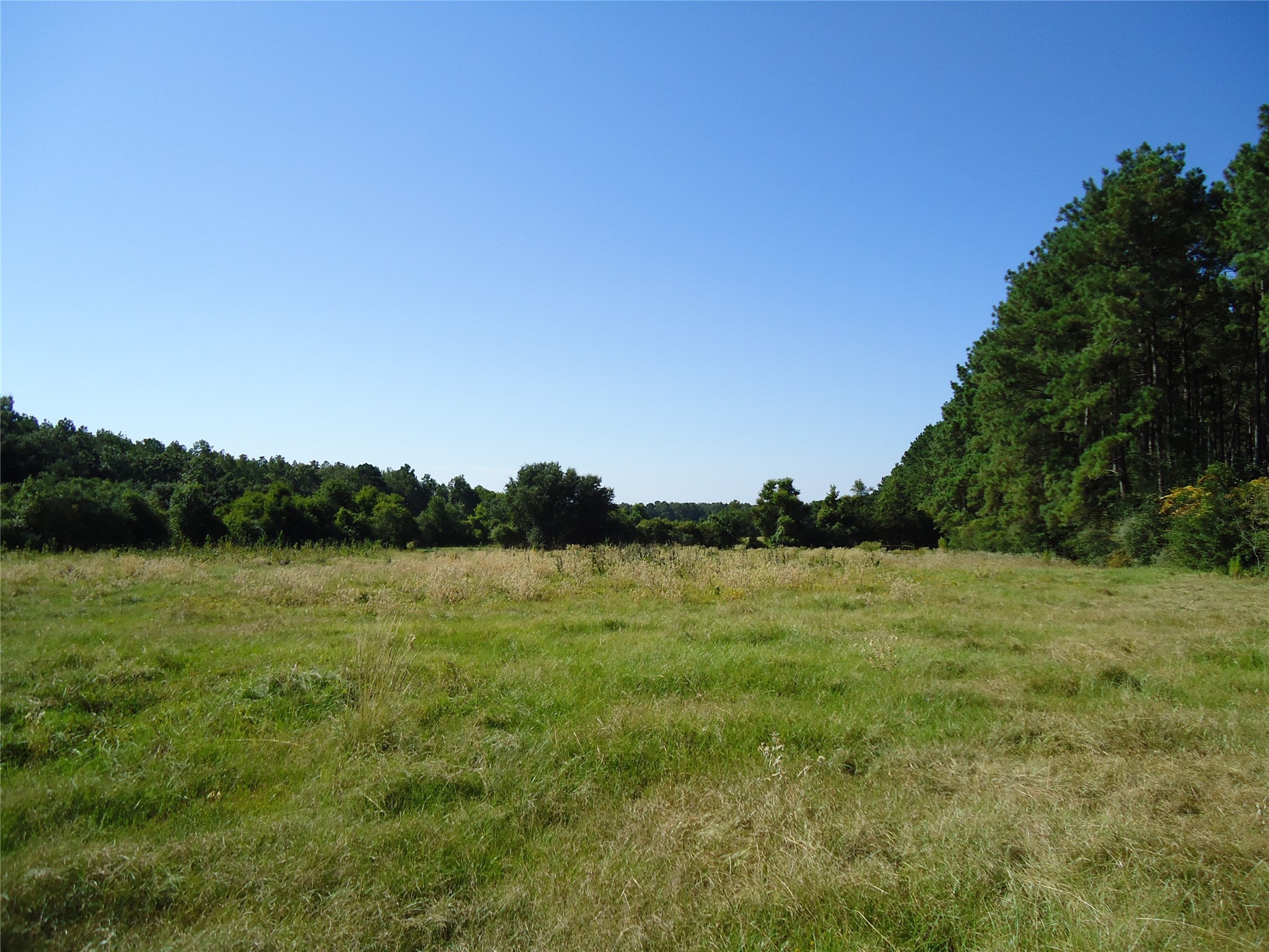 788 Fm-2781 Property Photo 16