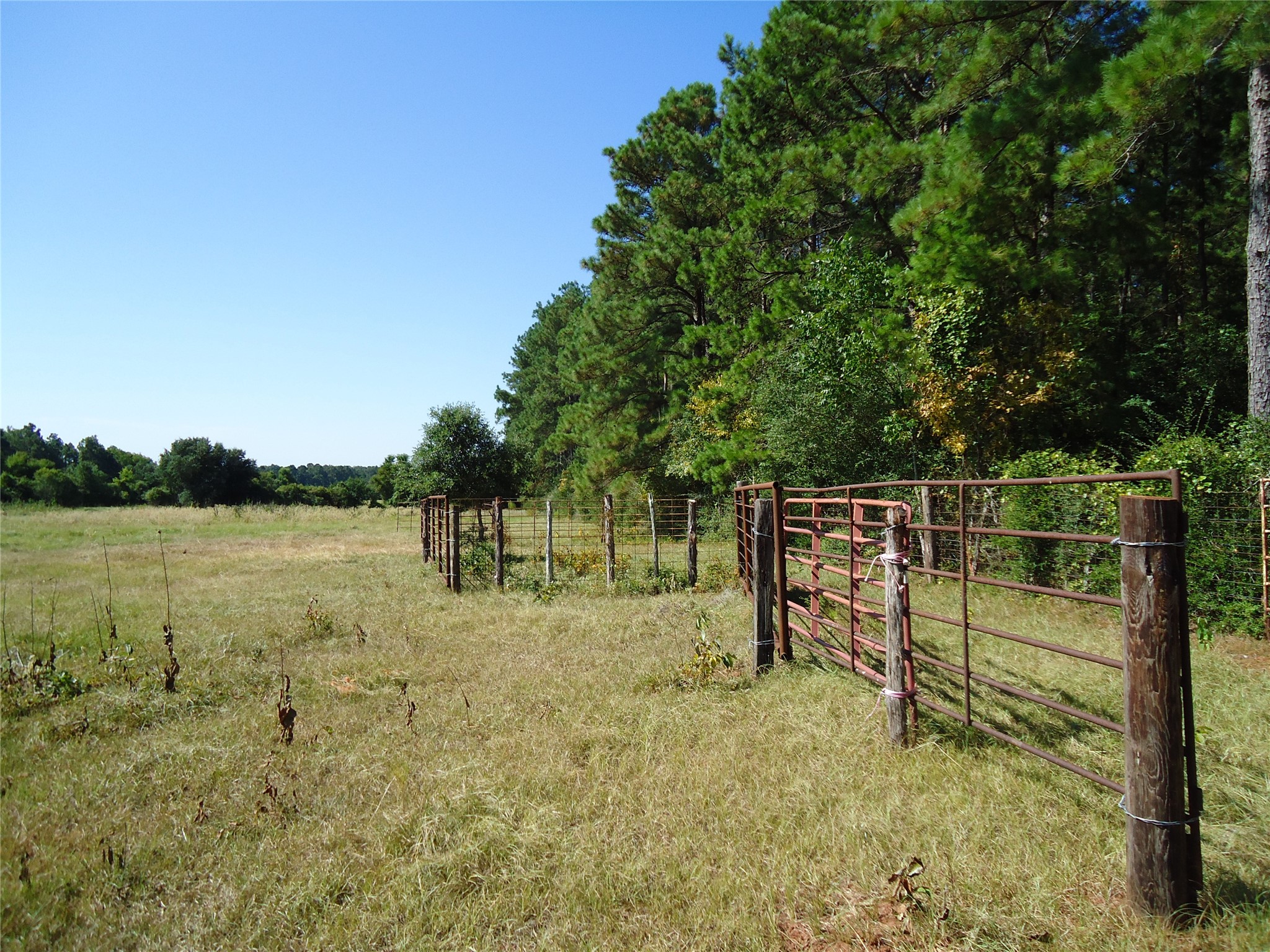 788 Fm-2781 Property Photo 17