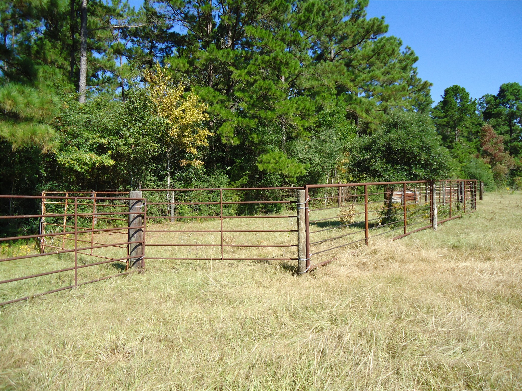 788 Fm-2781 Property Photo 18