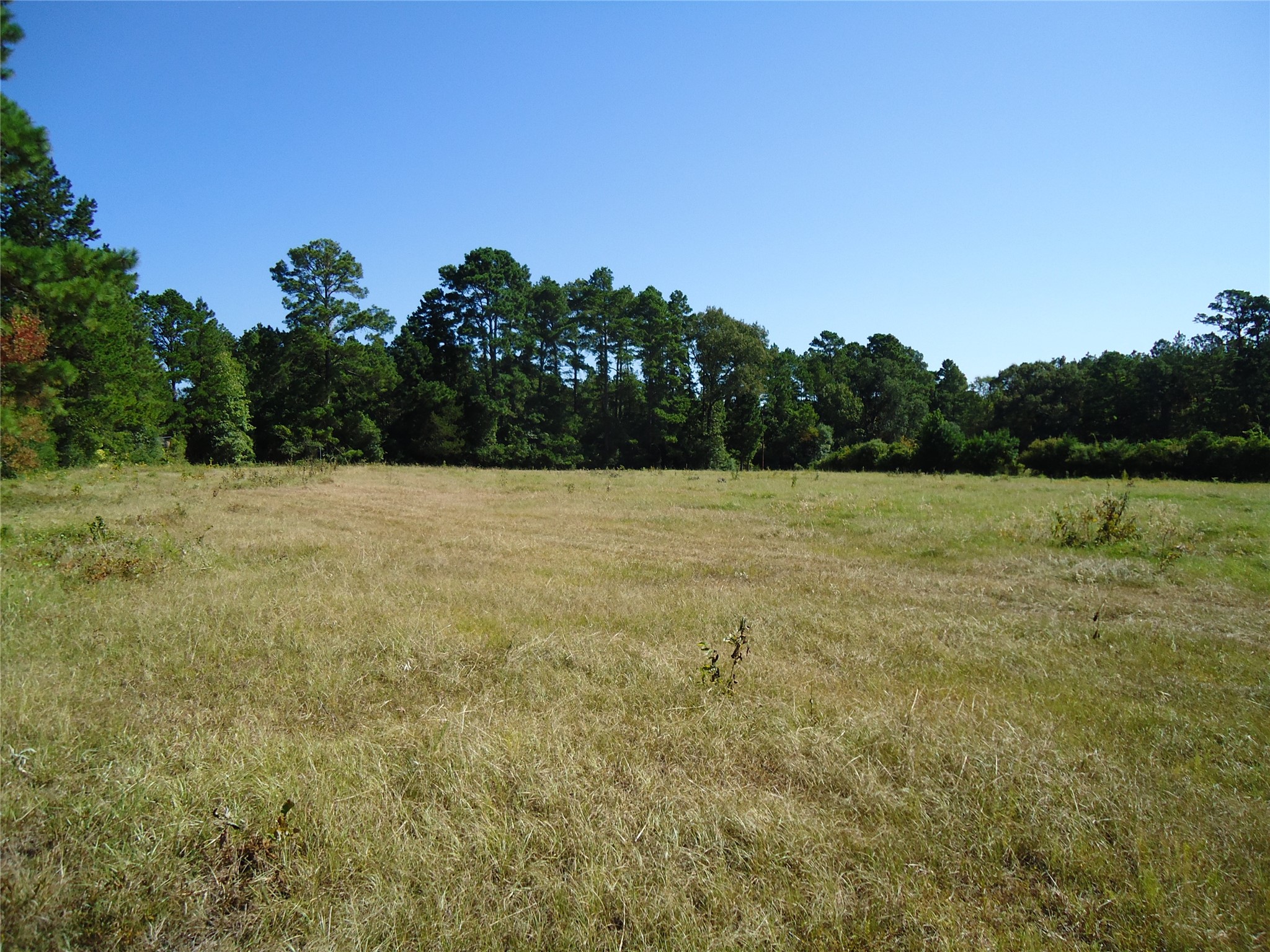 788 Fm-2781 Property Photo 19