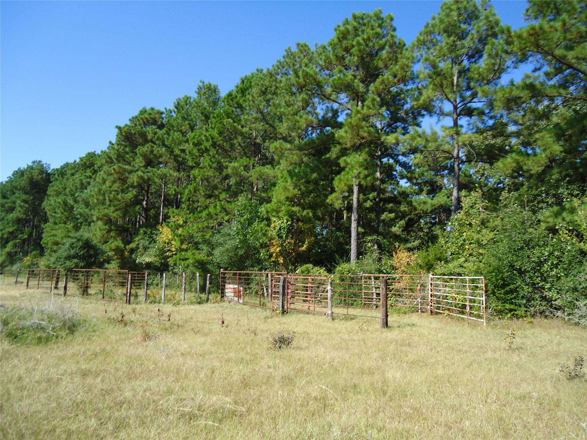 788 Fm-2781 Property Photo 21