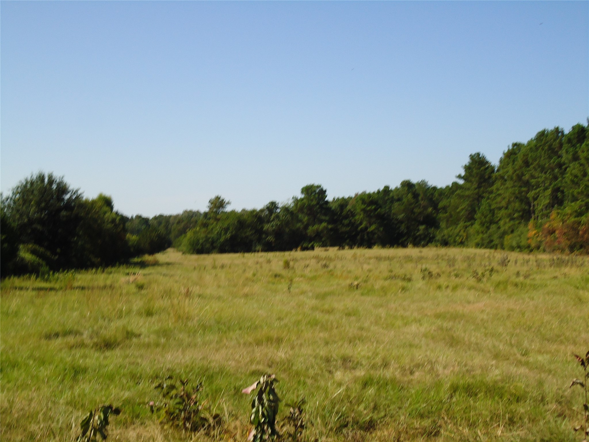 788 Fm-2781 Property Photo 25