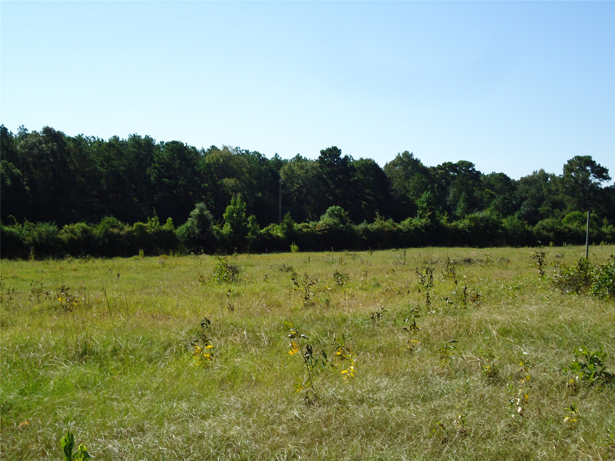 788 Fm-2781 Property Photo 28