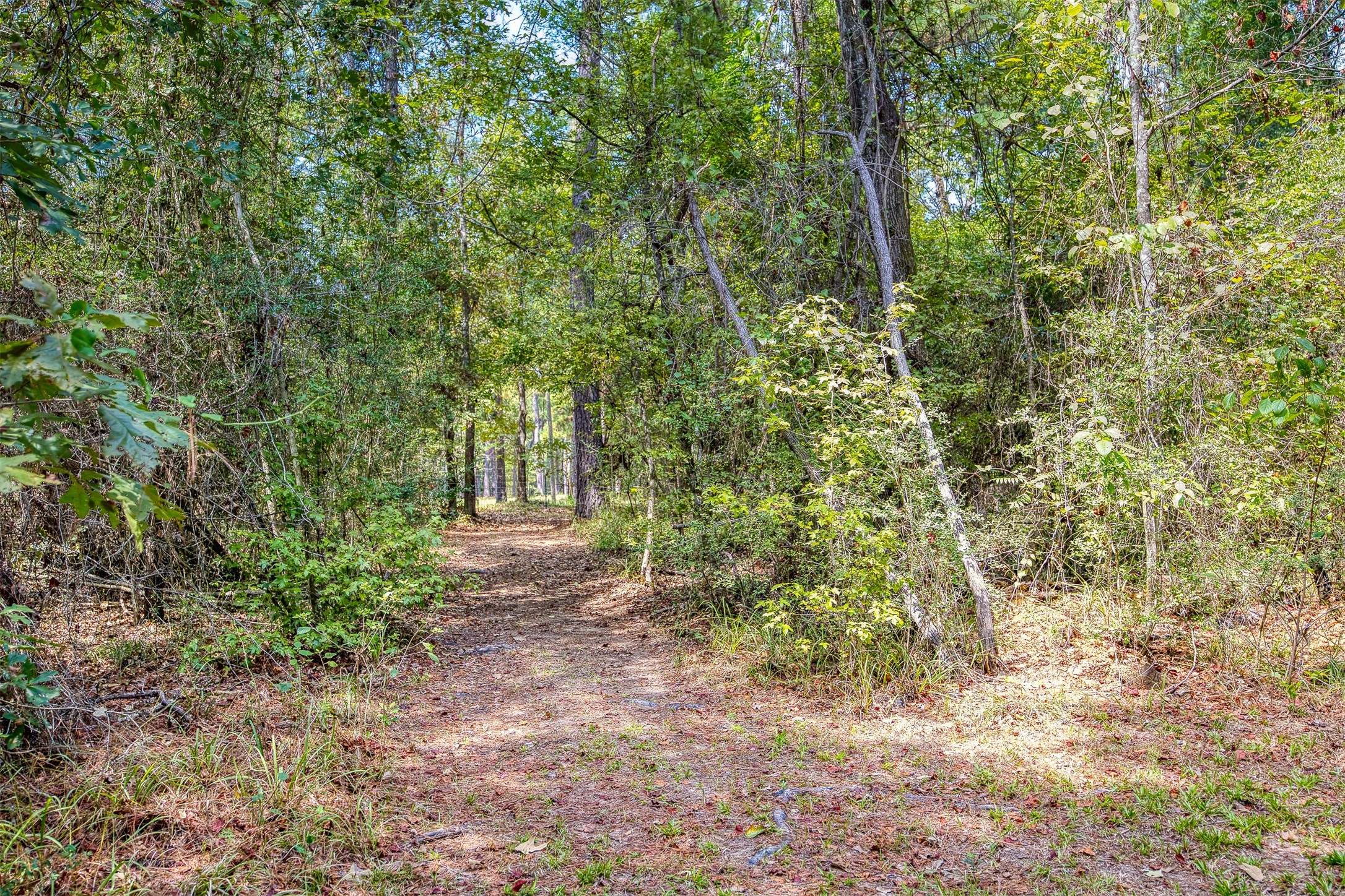 525 County Road 1170 Property Photo 29