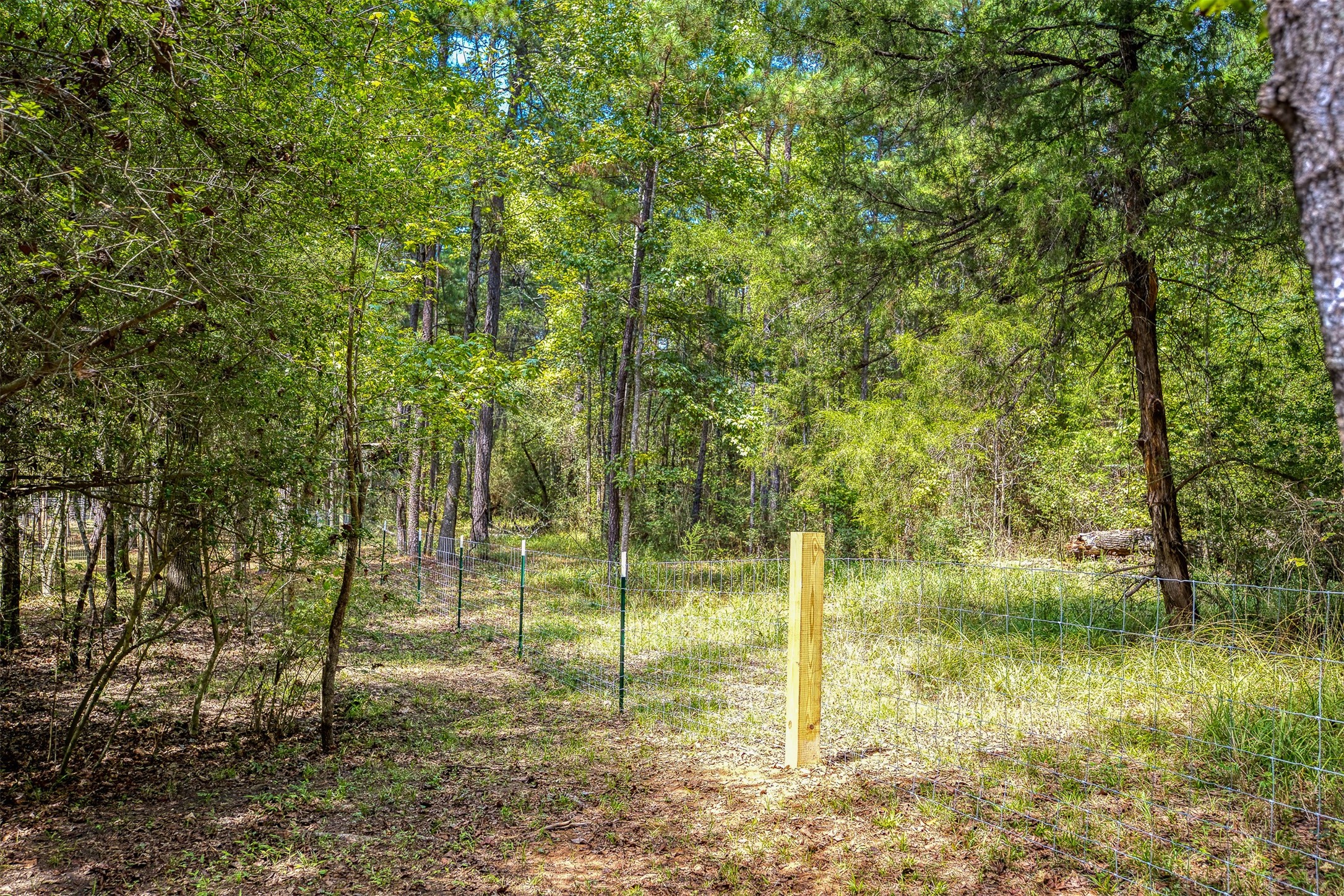 525 County Road 1170 Property Photo 32