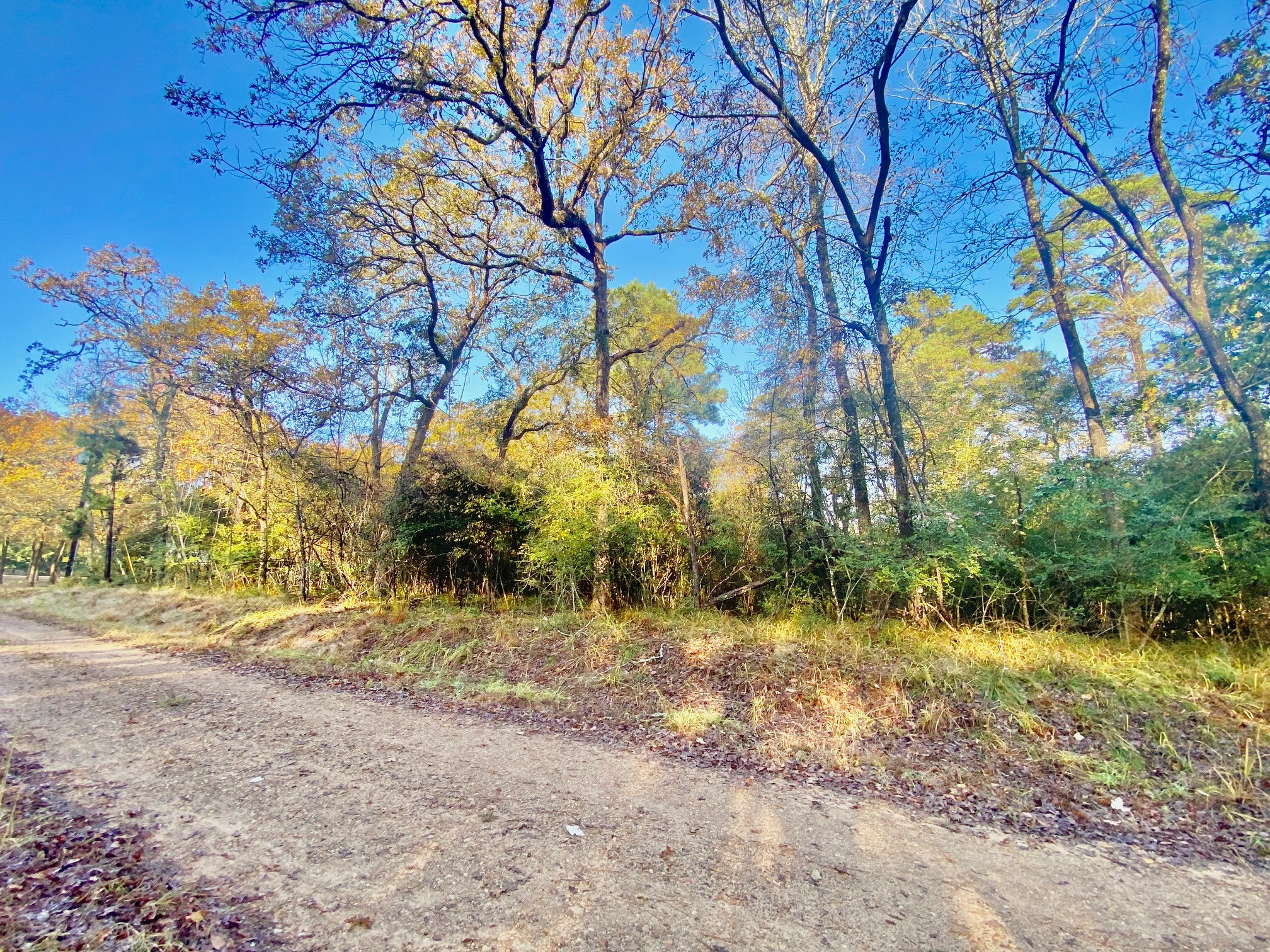 TBD Lakeview Circle Property Photo 1