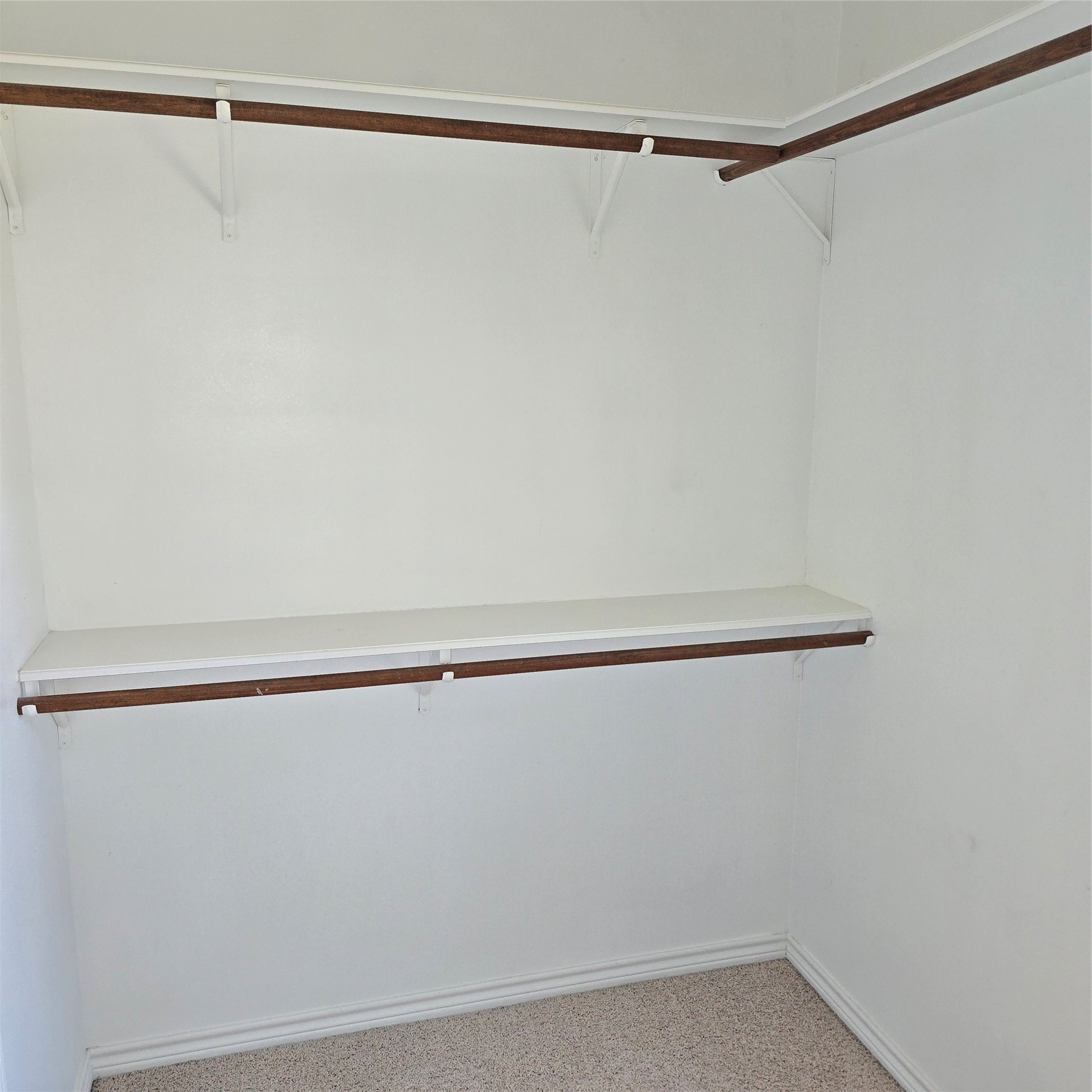 464 Bobwhite Drive Property Photo 21