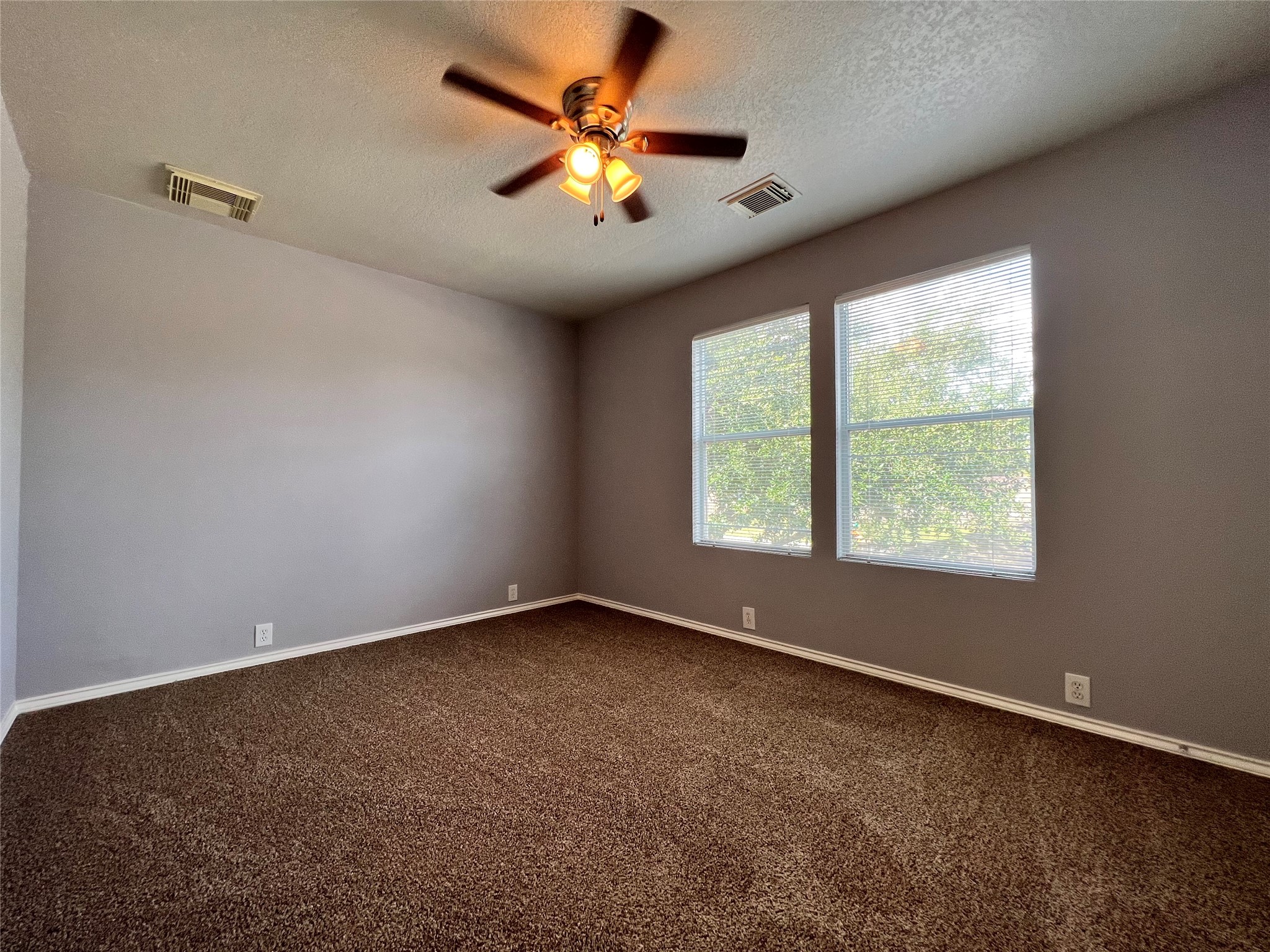 2103 Rustling Trees Way Property Photo 20
