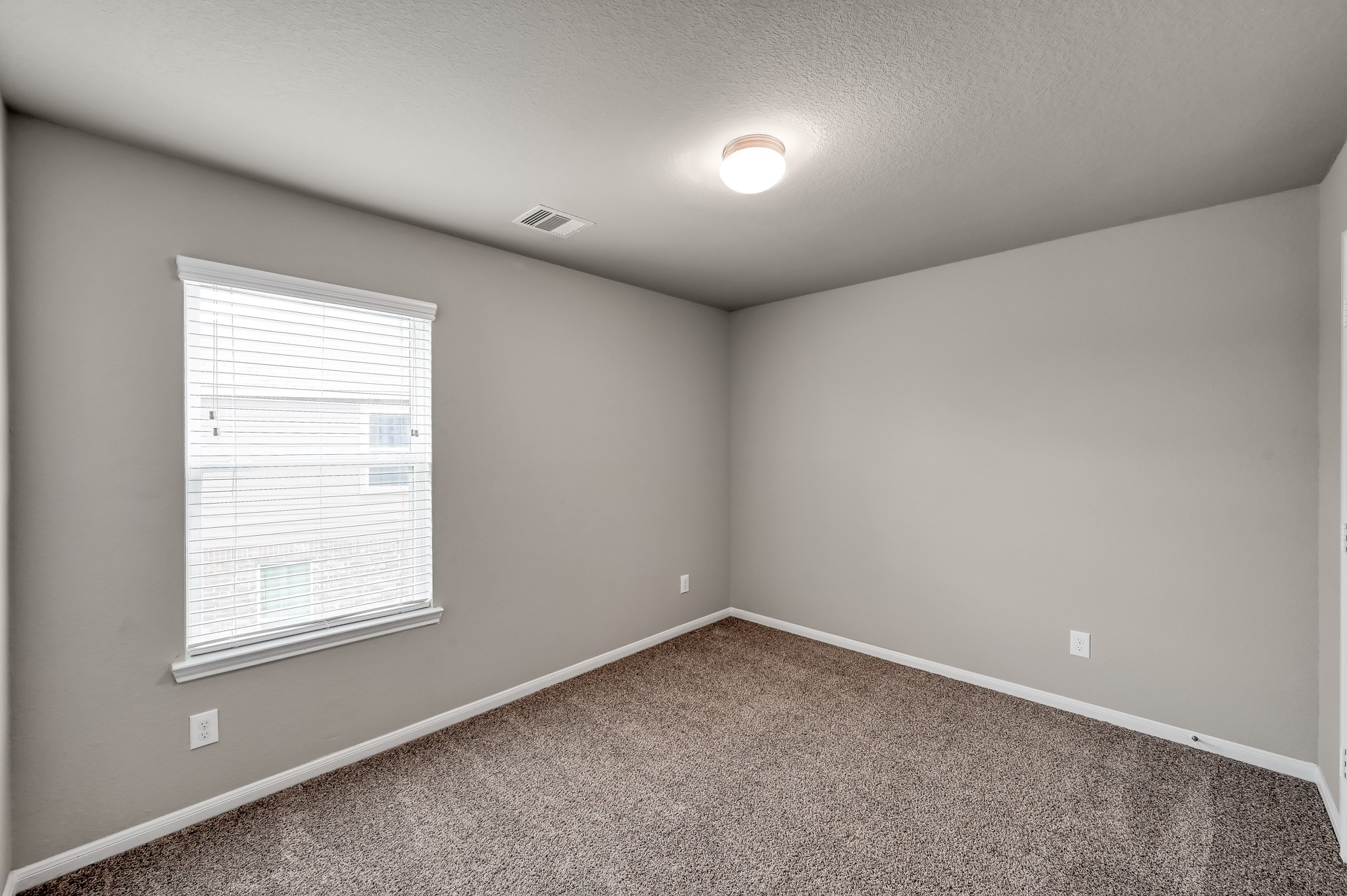 29211 Sequoia Tree Trail Property Photo 18