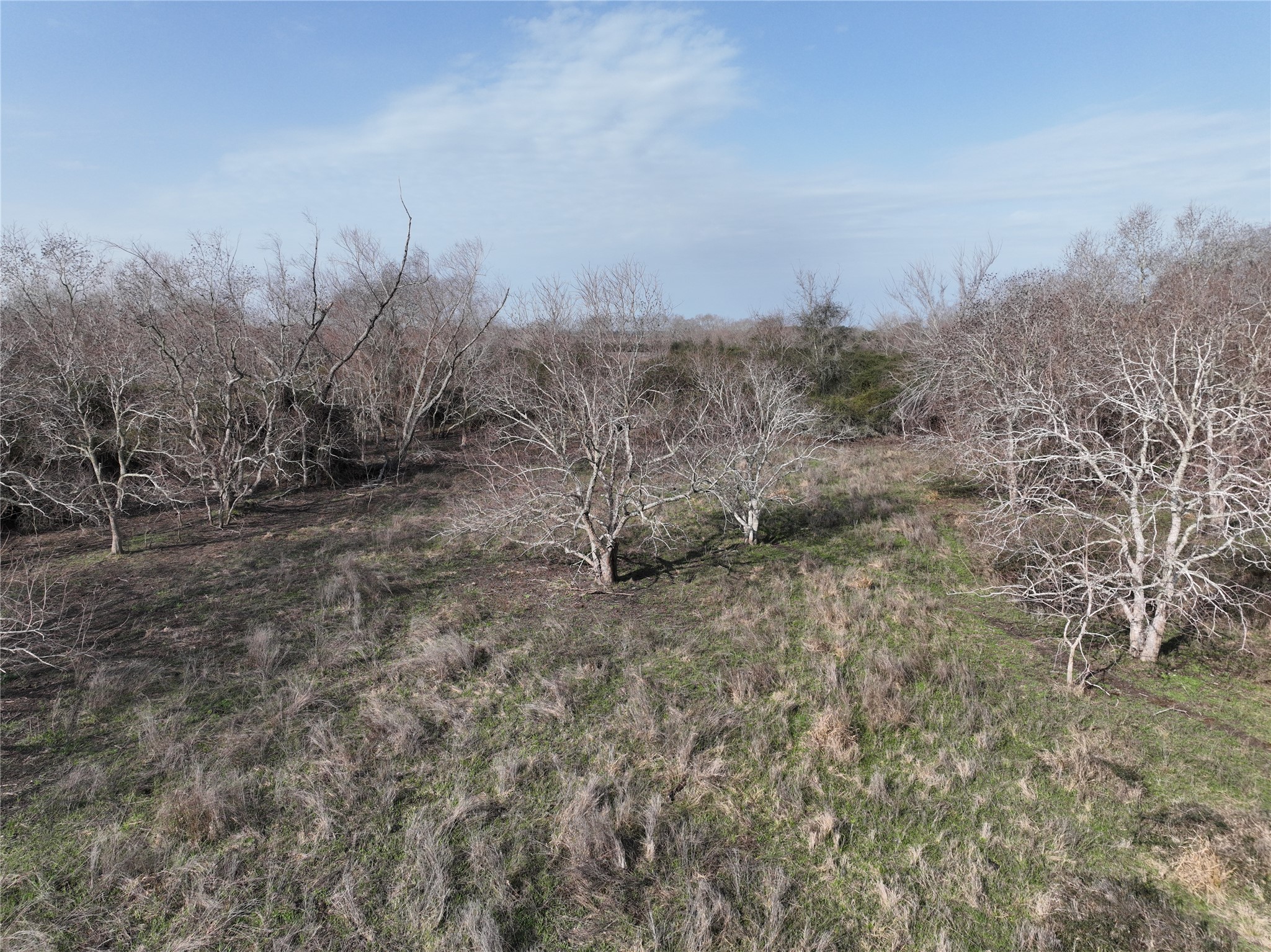000 Schindler Road Property Photo 34