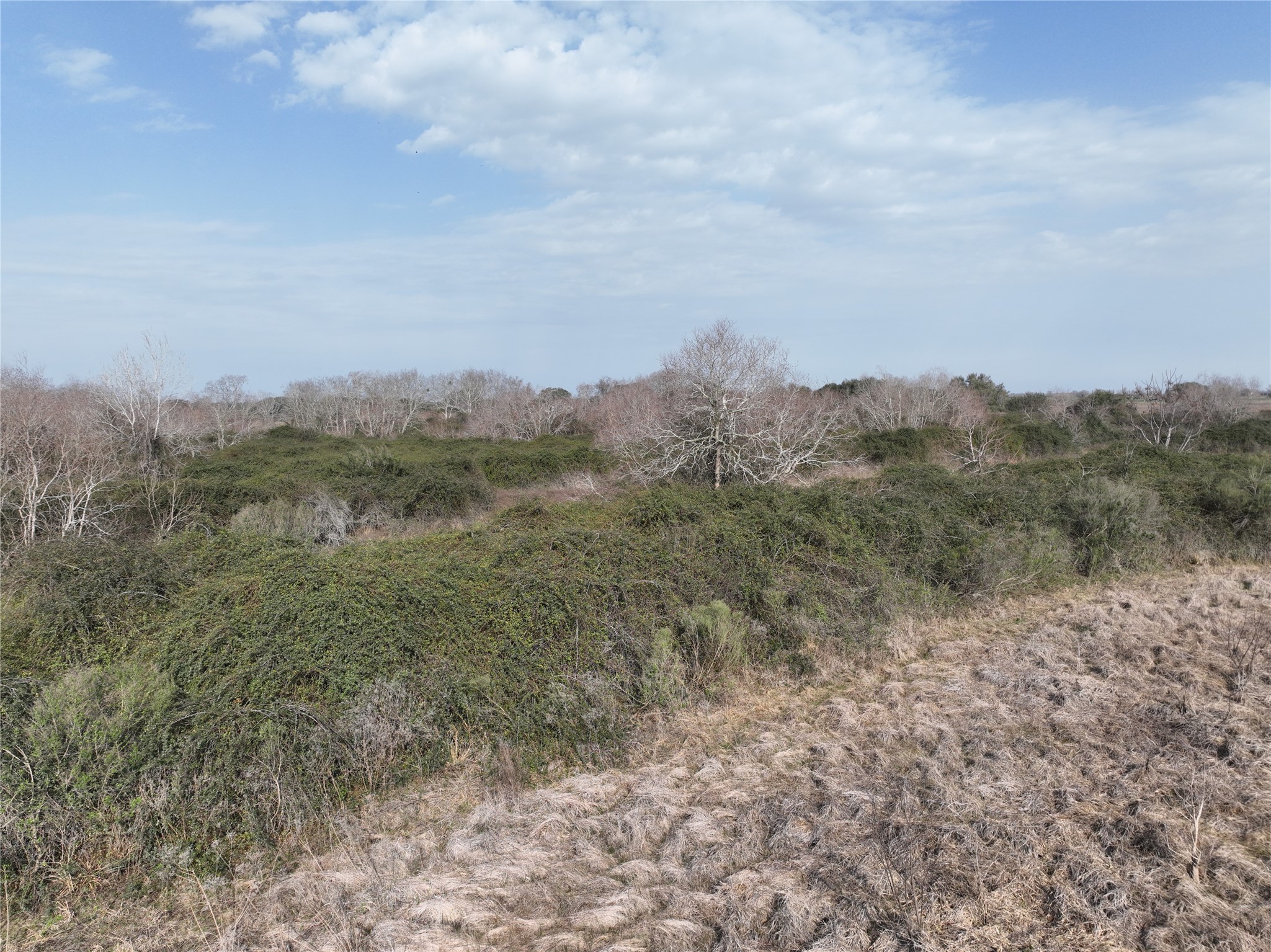 000 Schindler Road Property Photo 37