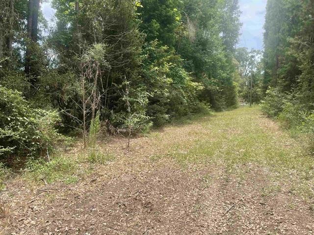 01 County Road 4600 Property Photo 1
