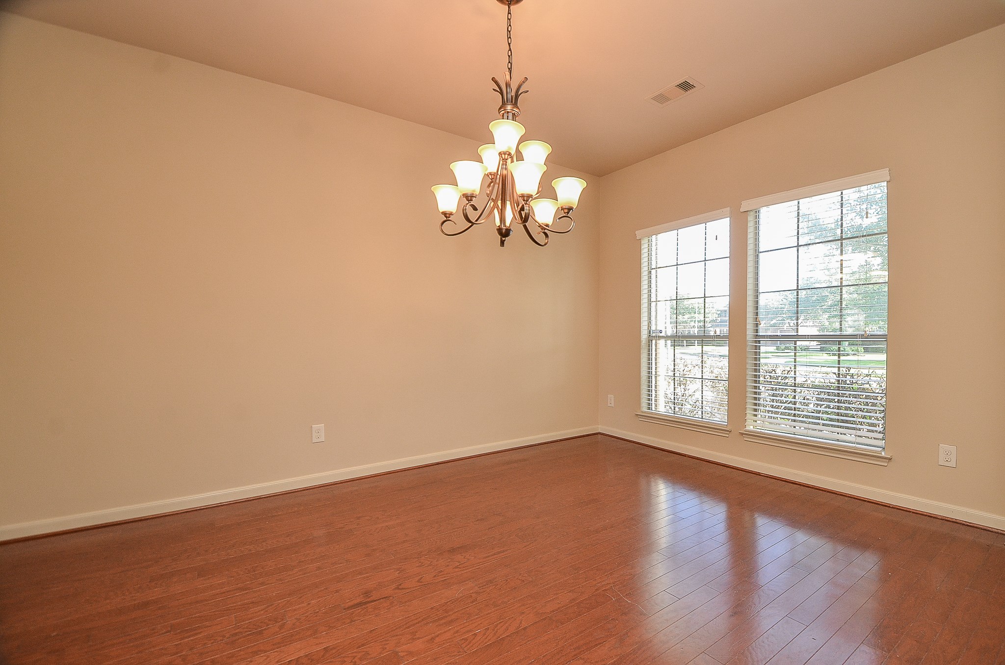26111 Salt Creek Lane Property Photo 6