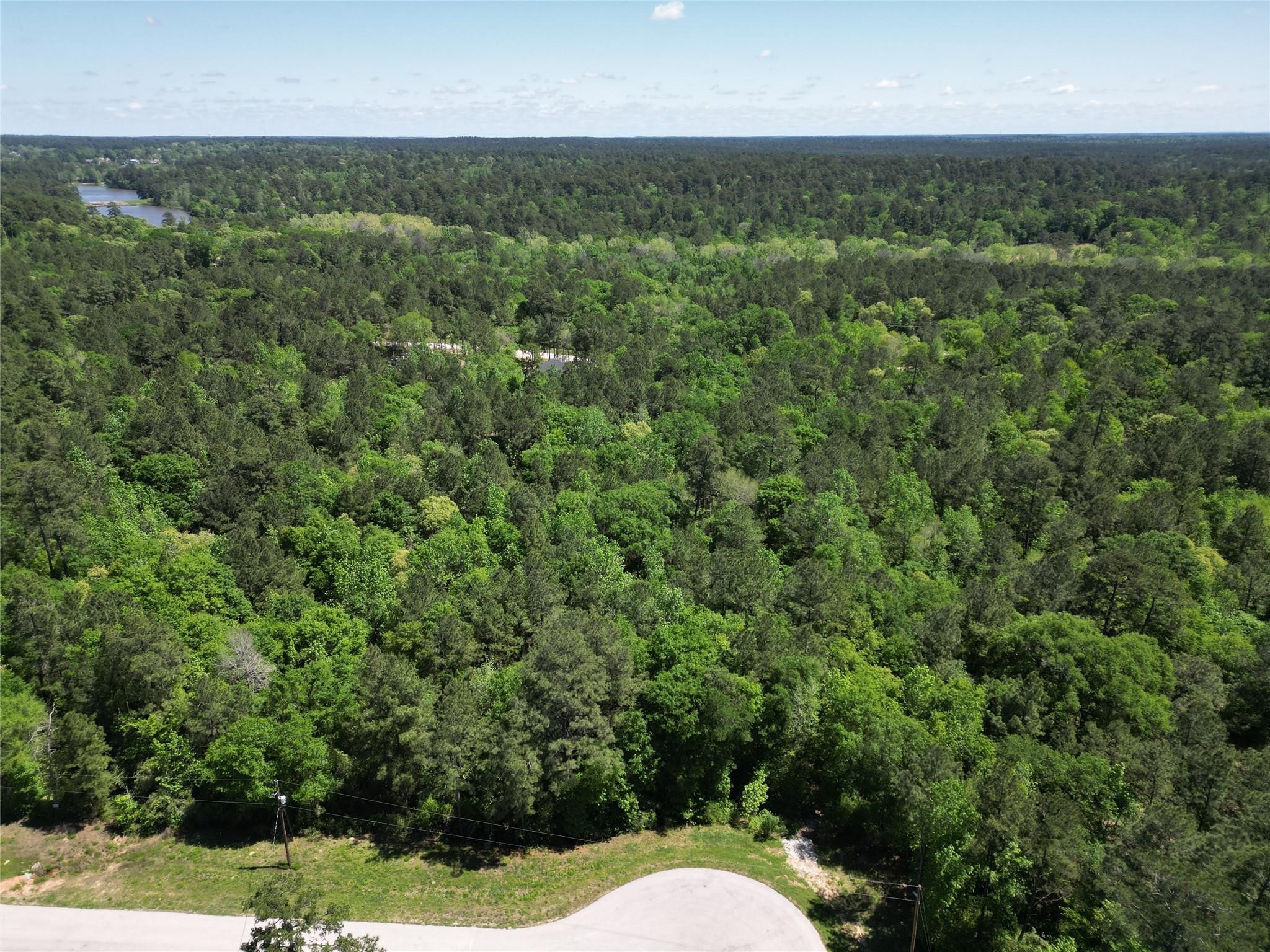 0 Pyrite Court Property Photo 4