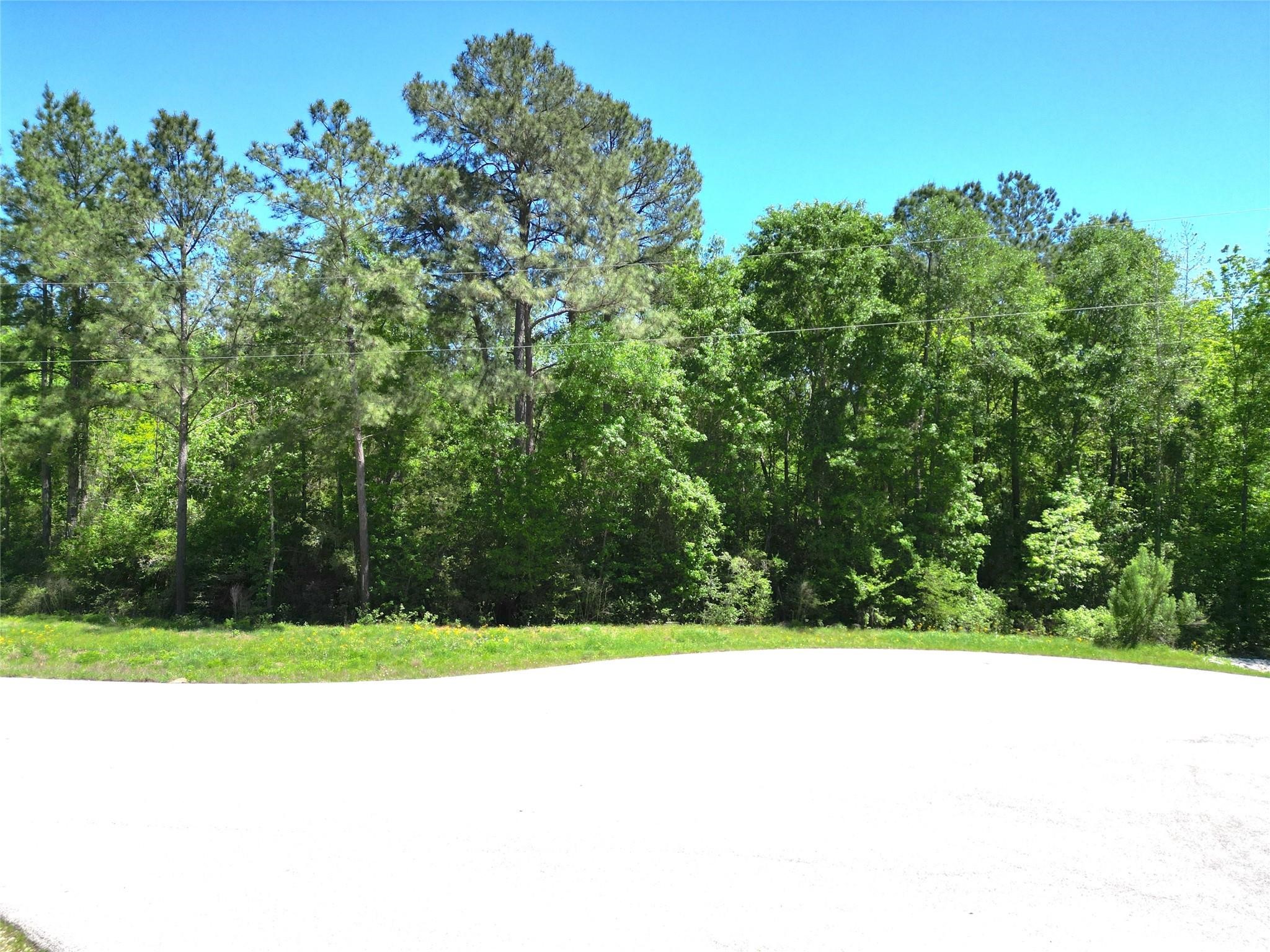 0 Pyrite Court Property Photo 5