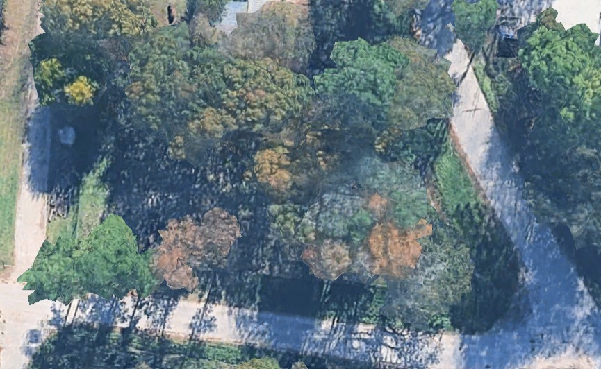 Tbd Circle H Property Photo 5