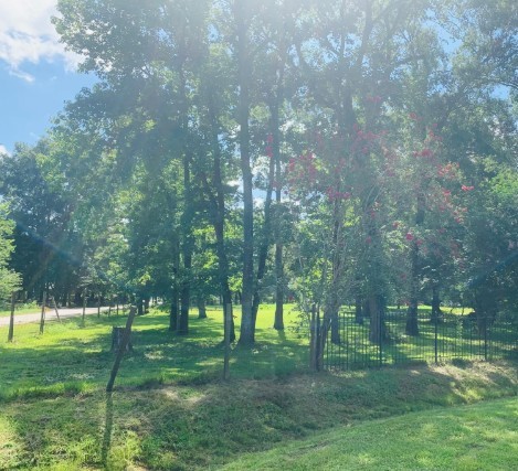 Tbd Circle H Property Photo 12