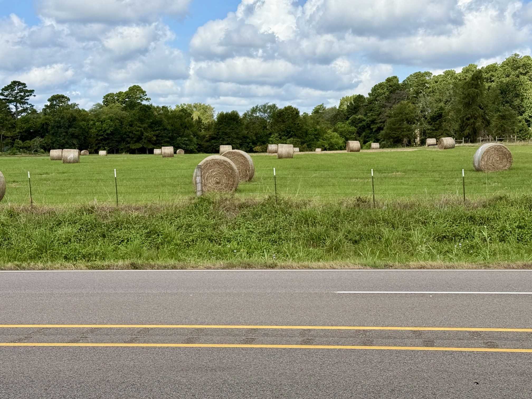 Tbd N Us Hwy 287 / Old Latexo Road Property Photo 5