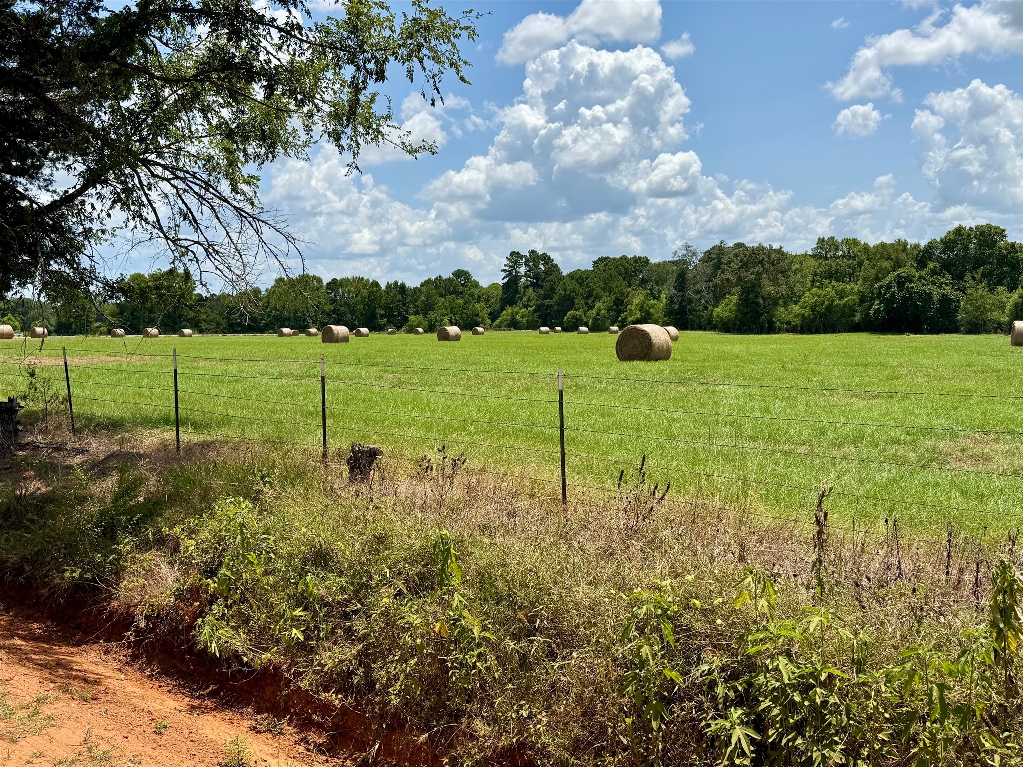 Tbd N Us Hwy 287 / Old Latexo Road Property Photo 6