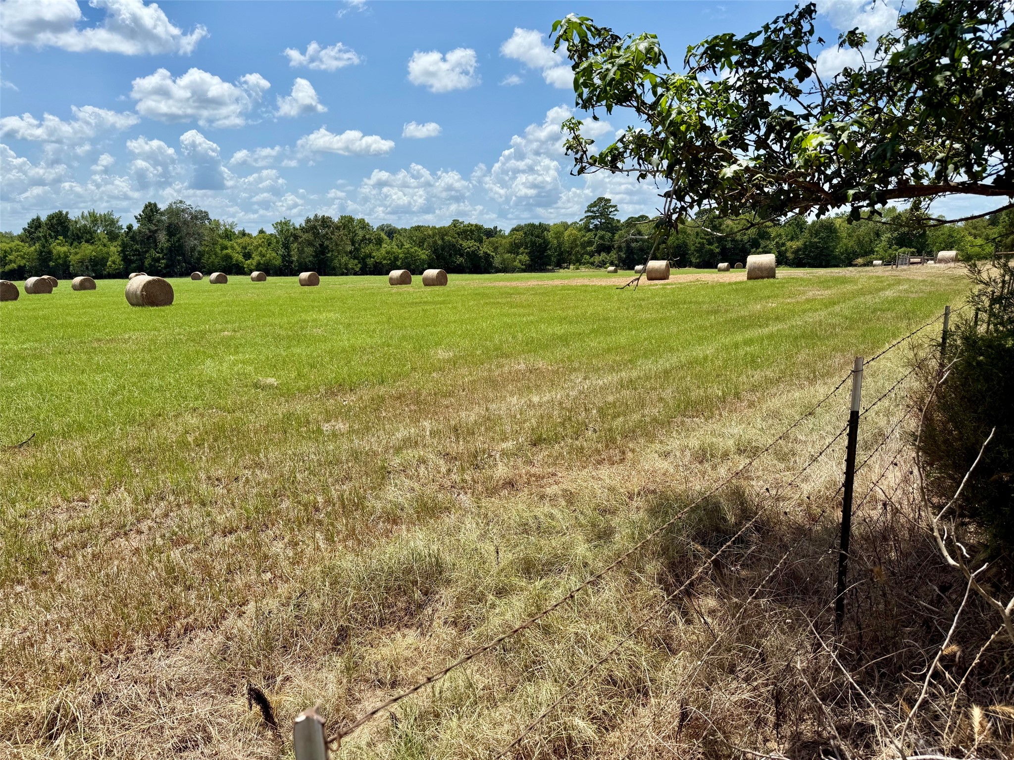 Tbd N Us Hwy 287 / Old Latexo Road Property Photo 8