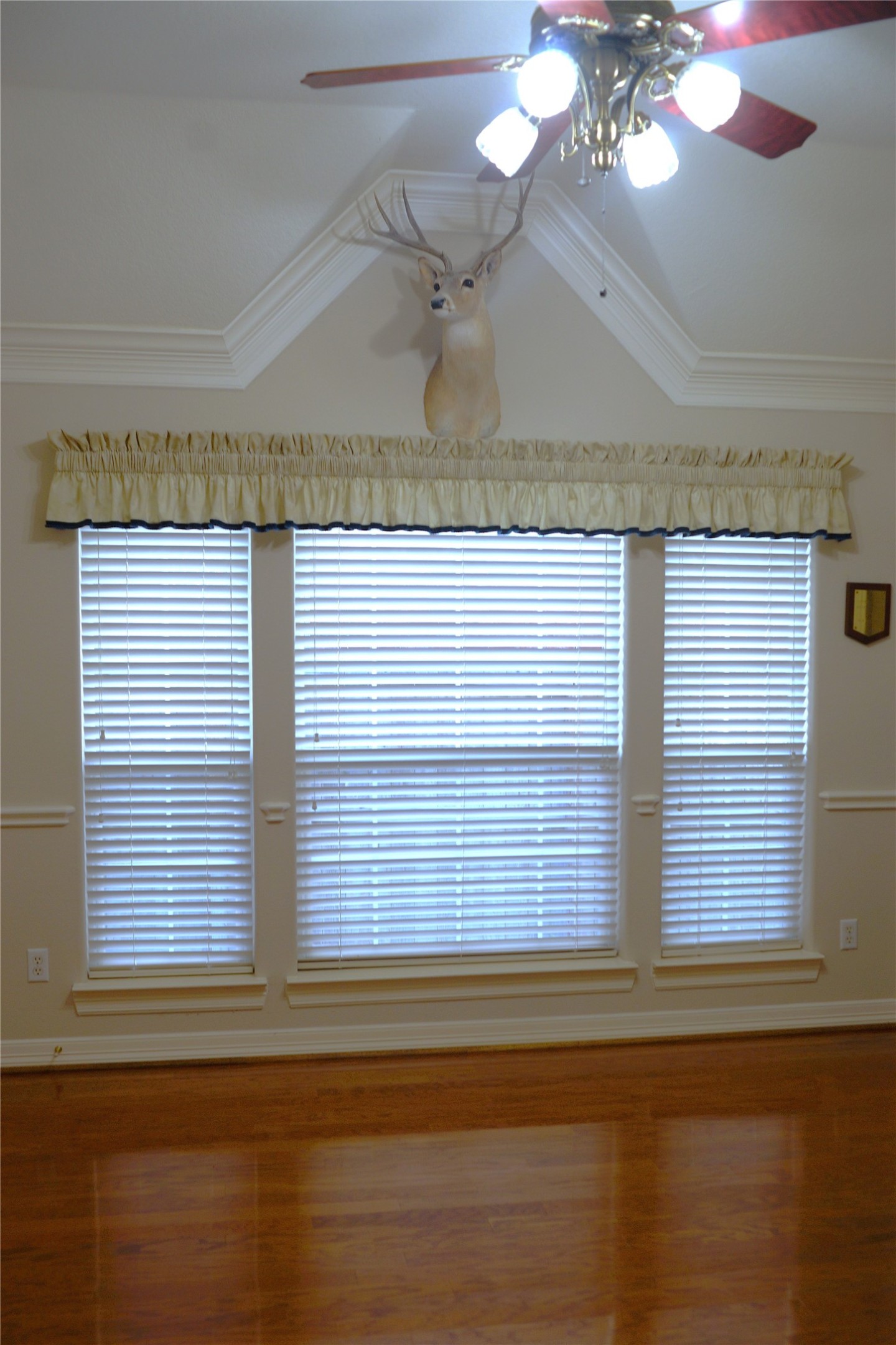 14206 Spring Pines Drive Property Photo 19