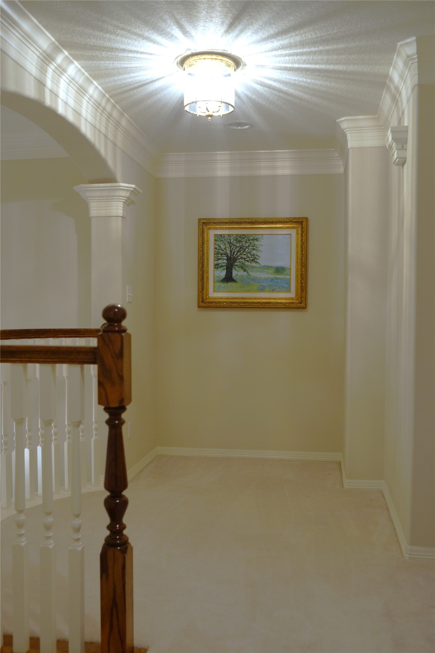 14206 Spring Pines Drive Property Photo 27