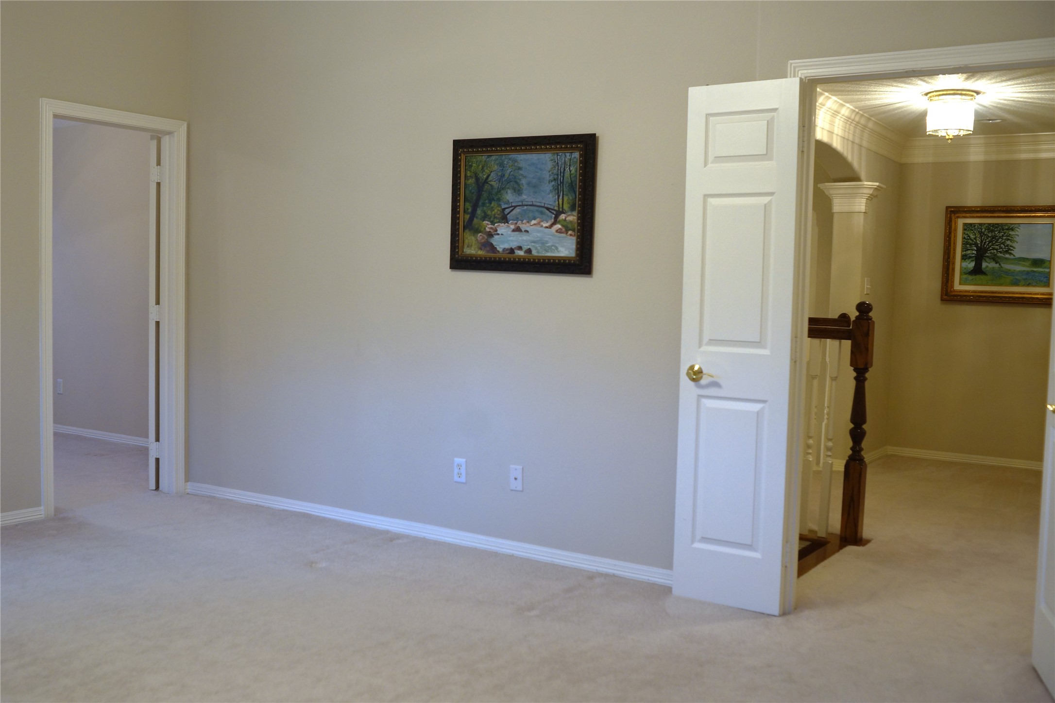 14206 Spring Pines Drive Property Photo 29