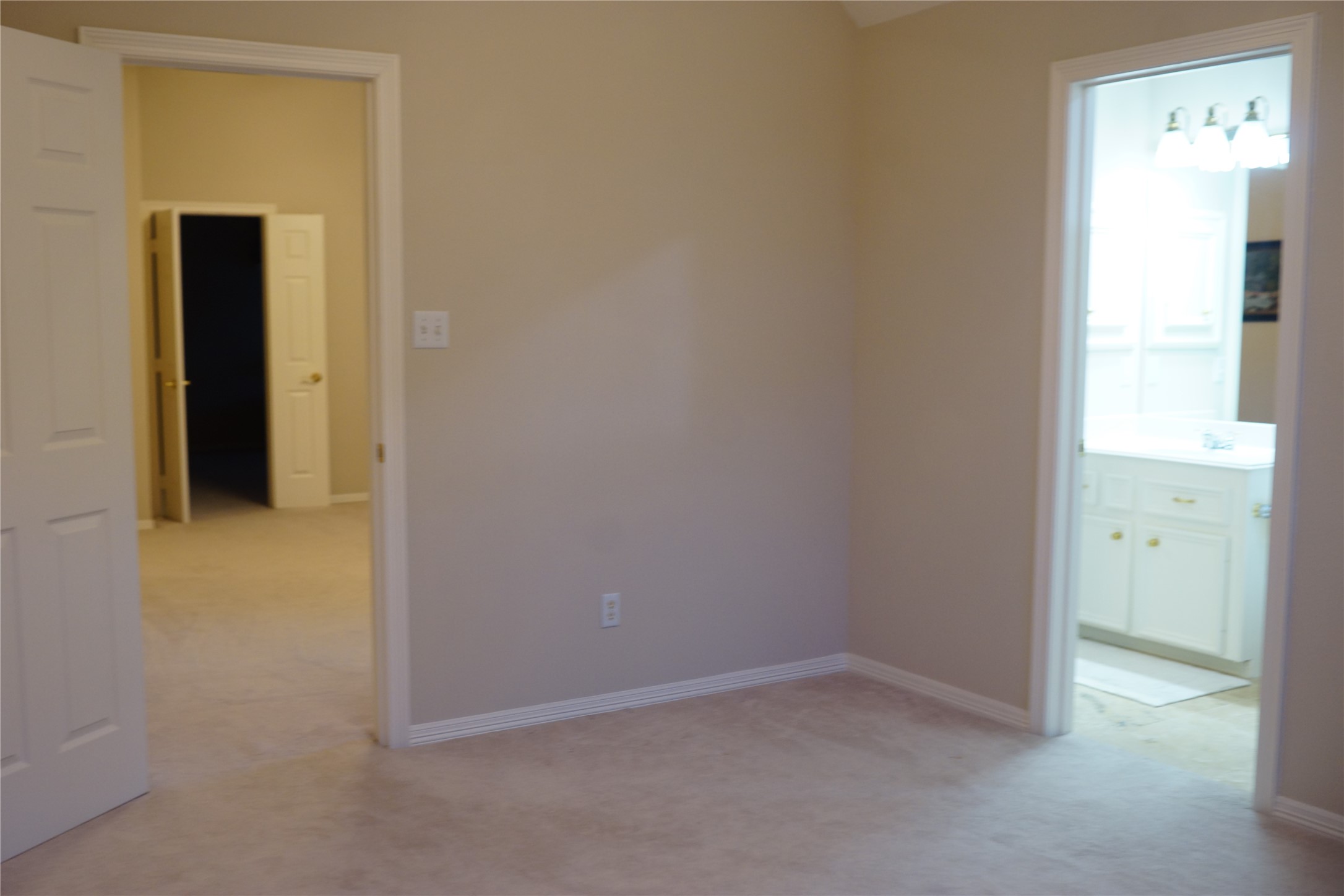 14206 Spring Pines Drive Property Photo 31