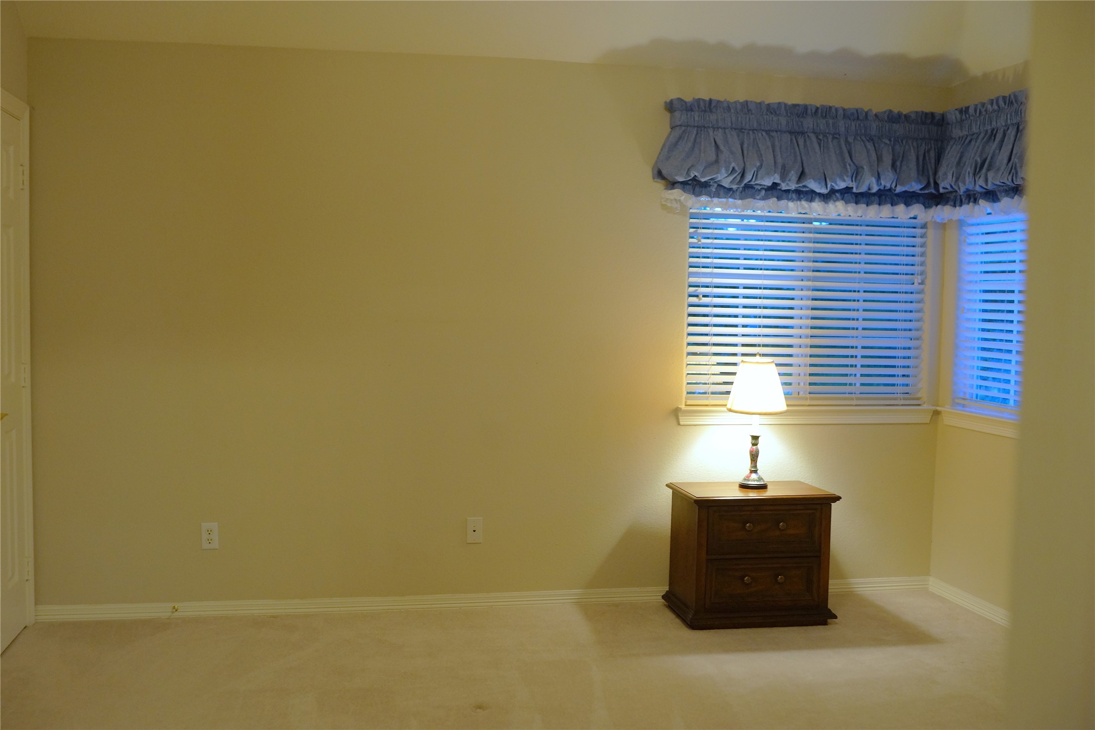 14206 Spring Pines Drive Property Photo 33