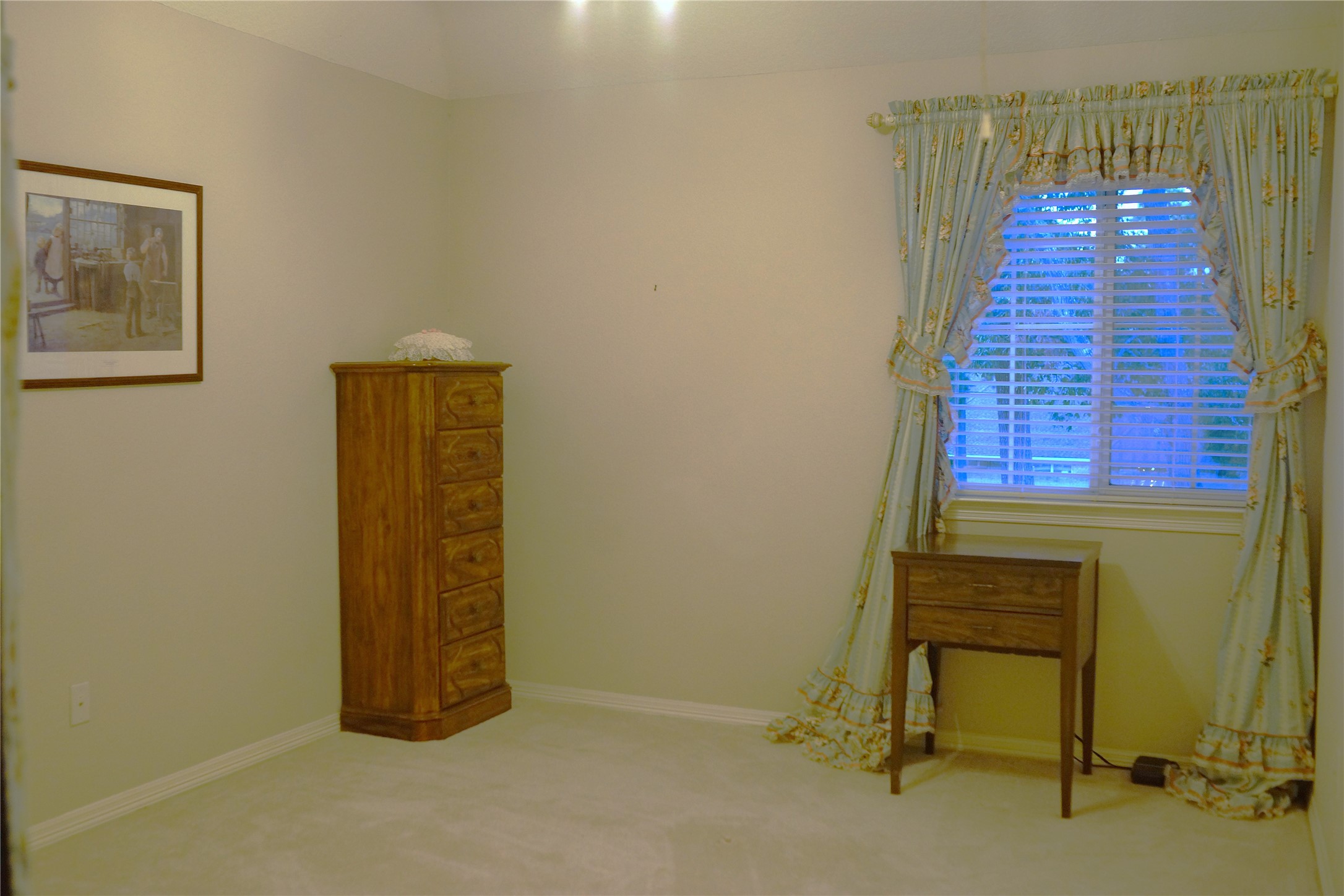14206 Spring Pines Drive Property Photo 36