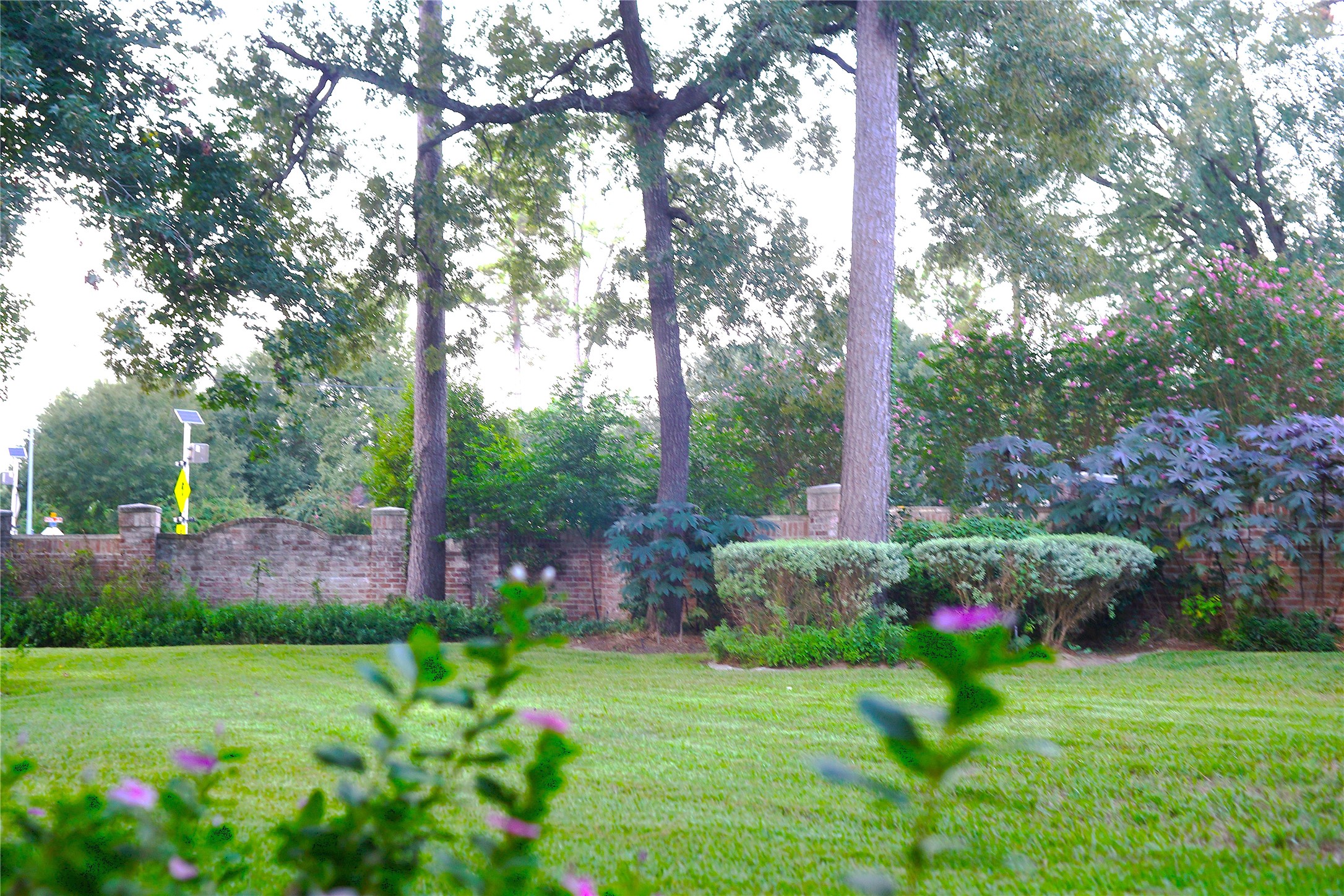 14206 Spring Pines Drive Property Photo 41