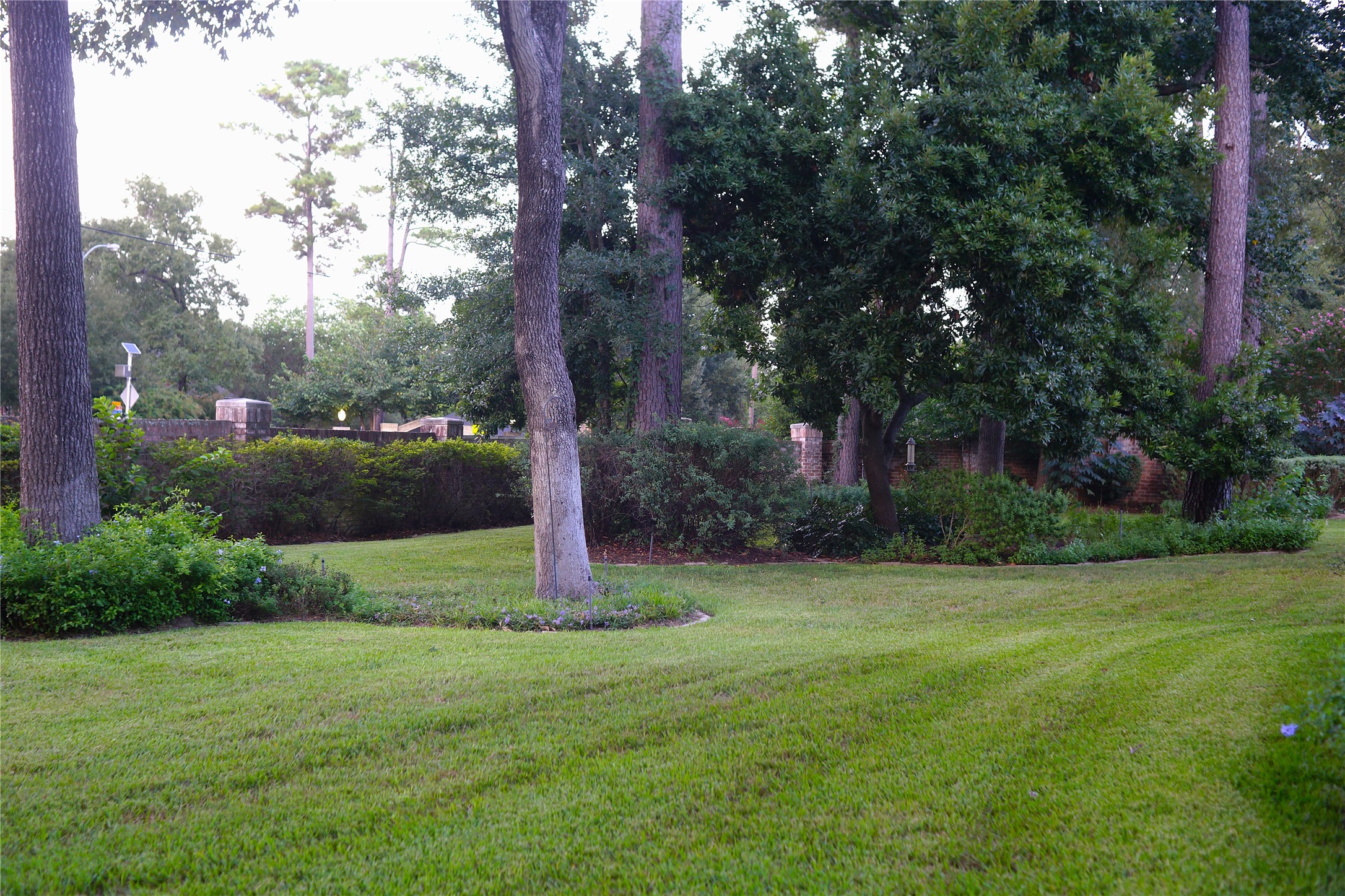 14206 Spring Pines Drive Property Photo 46