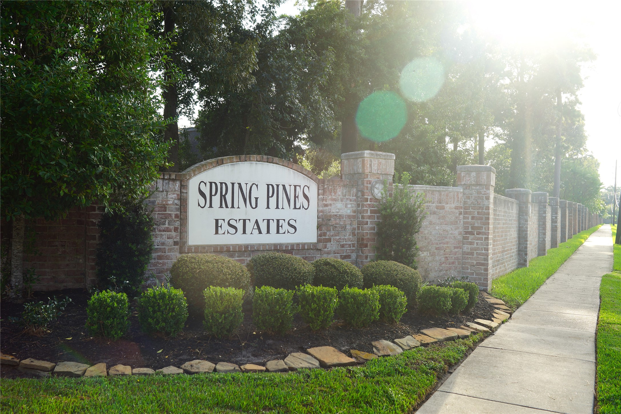 14206 Spring Pines Drive Property Photo 50
