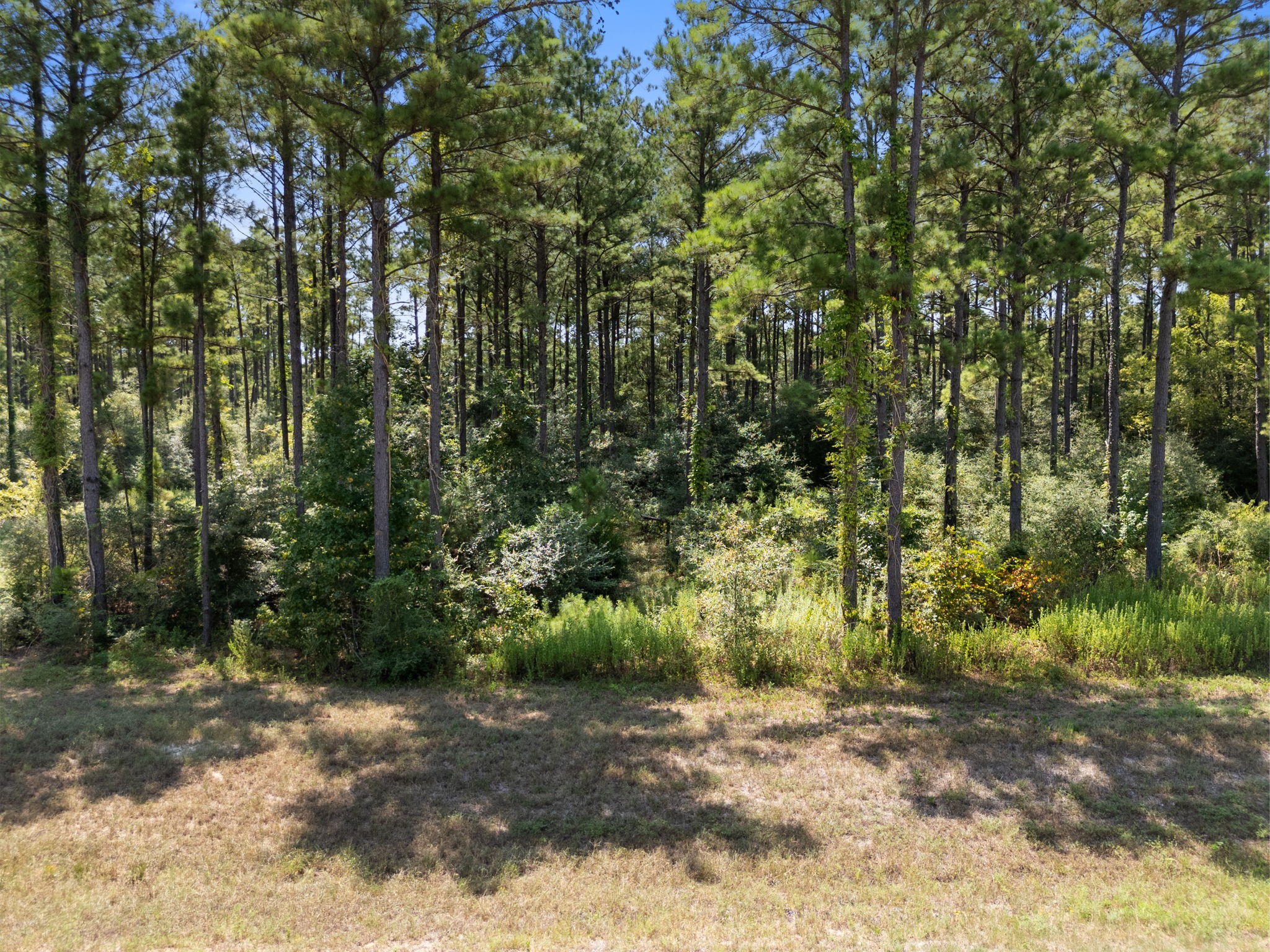 15735 Wooded Trail Way Property Photo 1