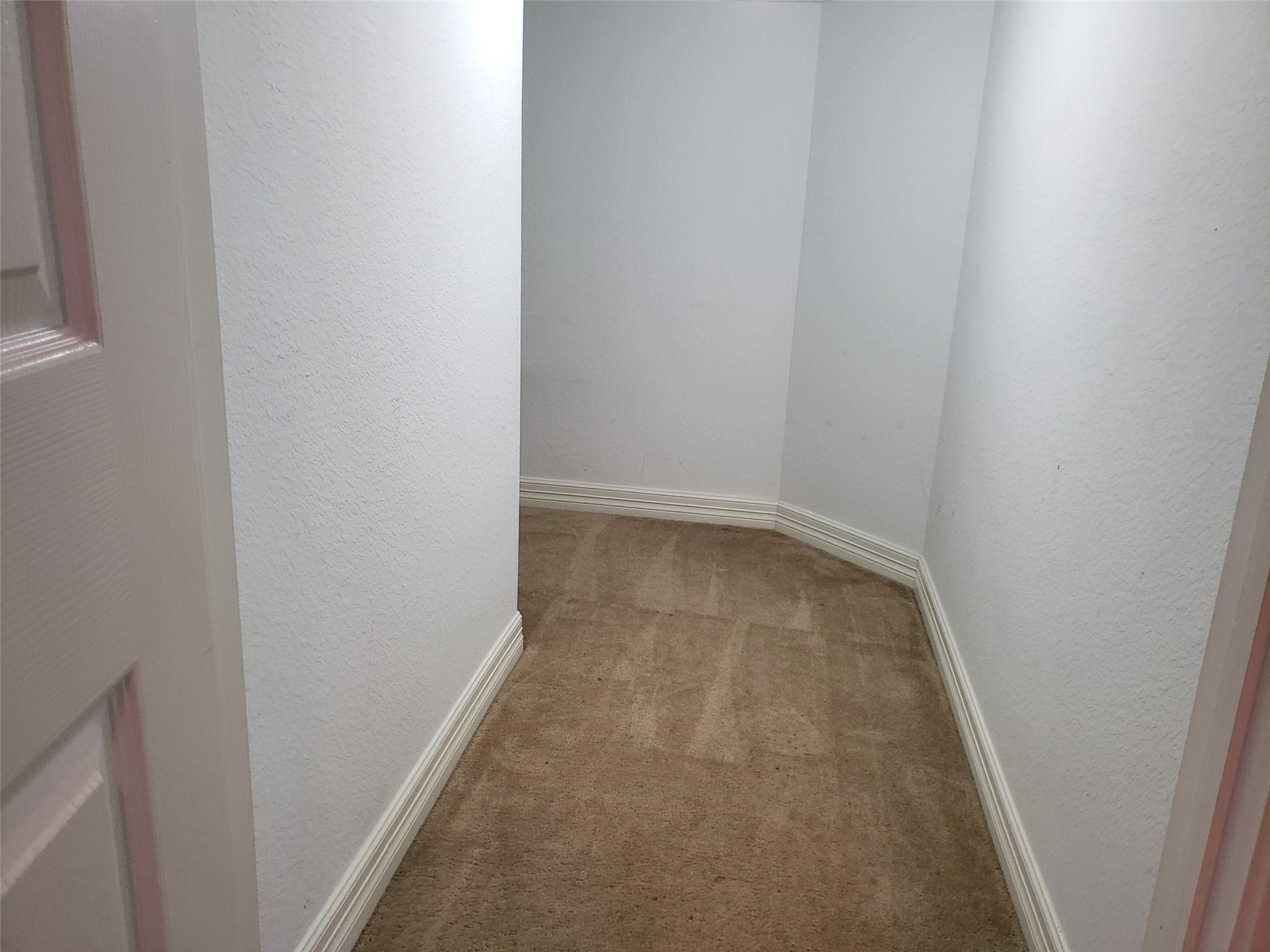 3607 Cat Springs Lane Property Photo 33