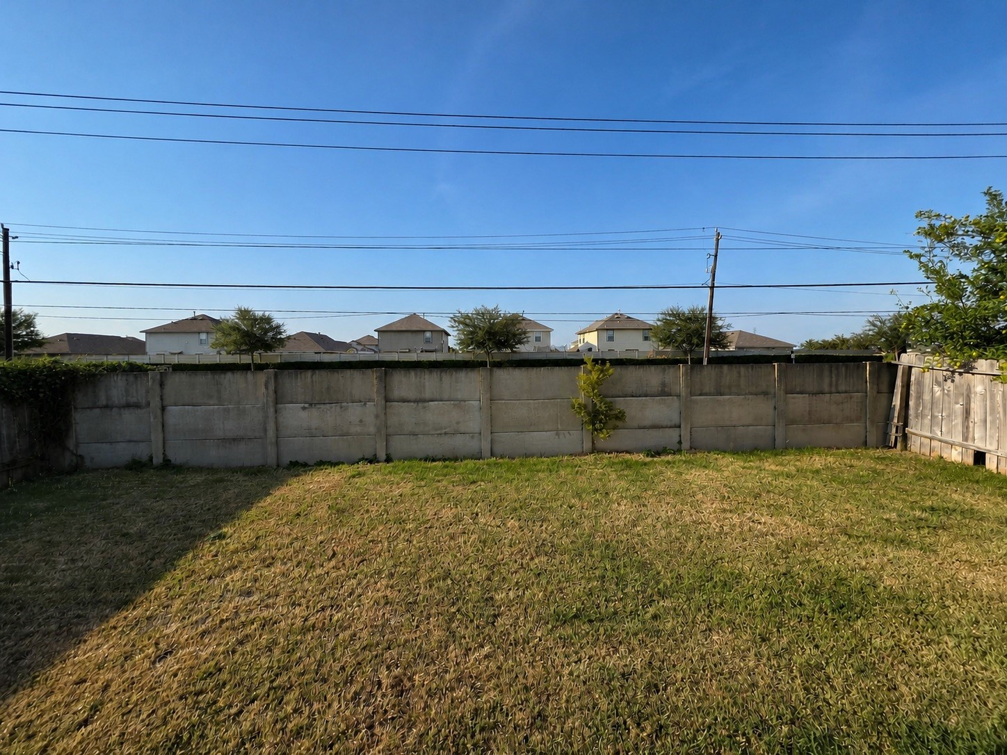 4319 Amaryllis Avenue Property Photo 21