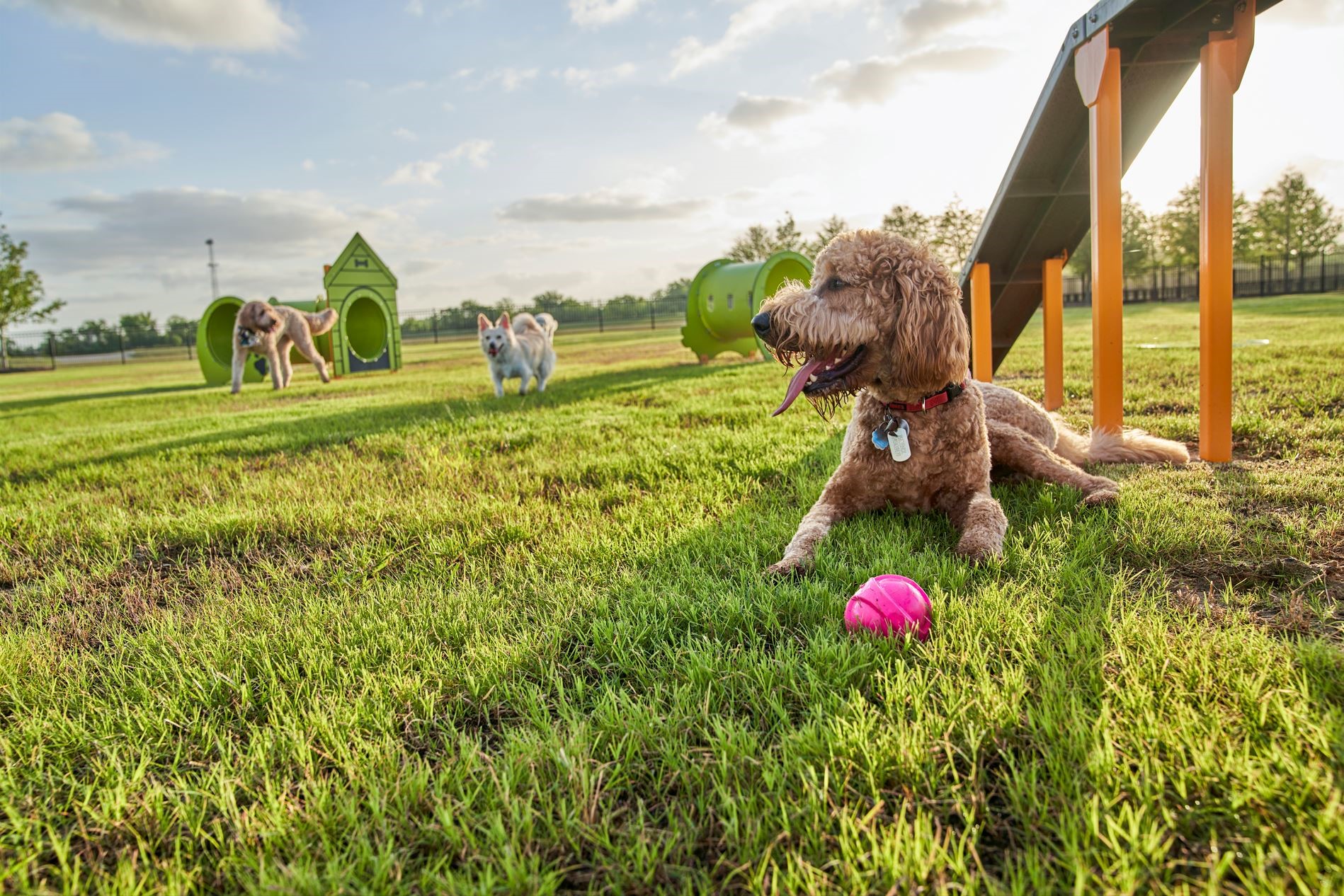 7414 Goldenrod Thicket Circle Property Photo 27