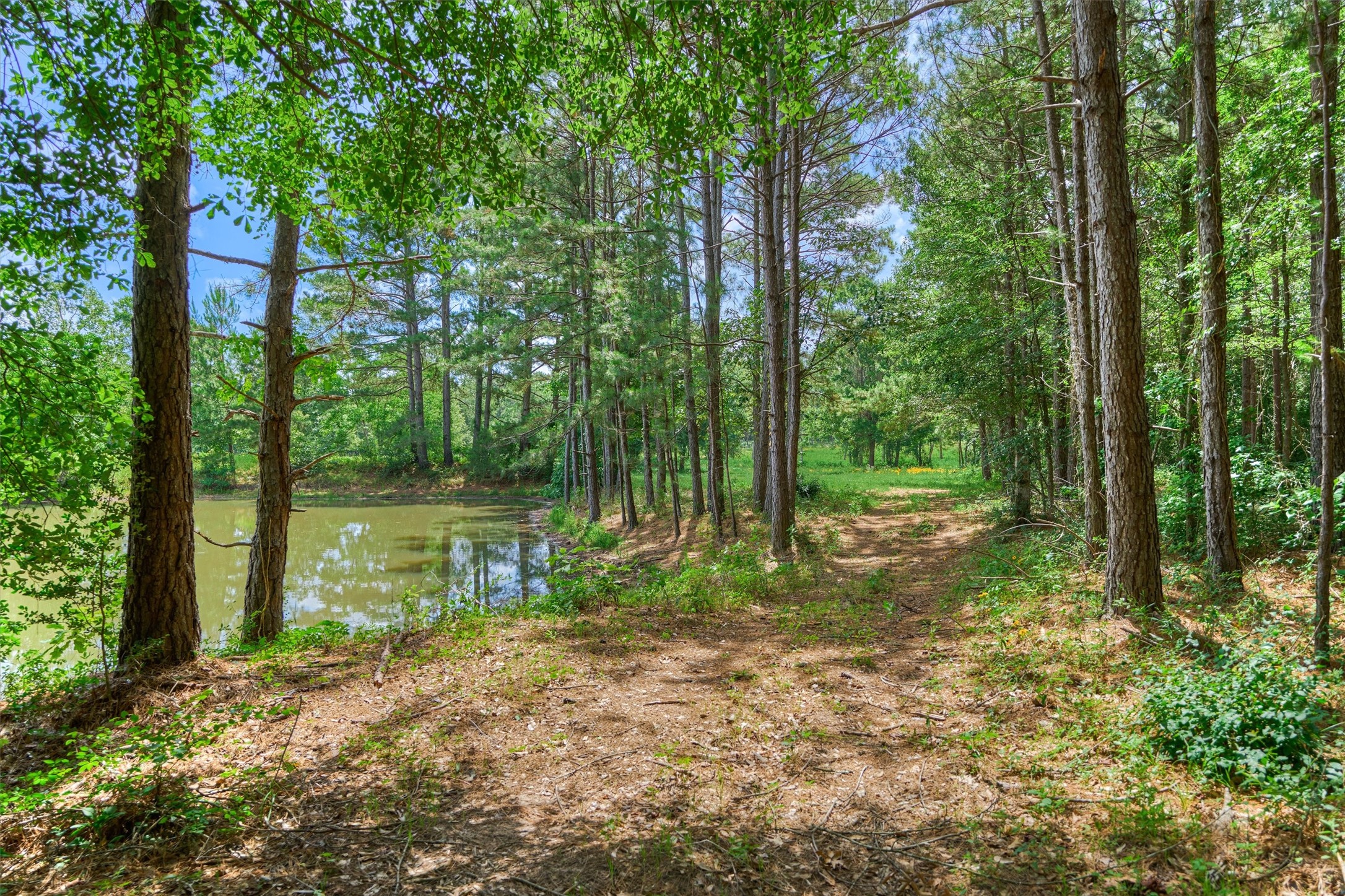 Tract B Sharp View Road Property Photo 8