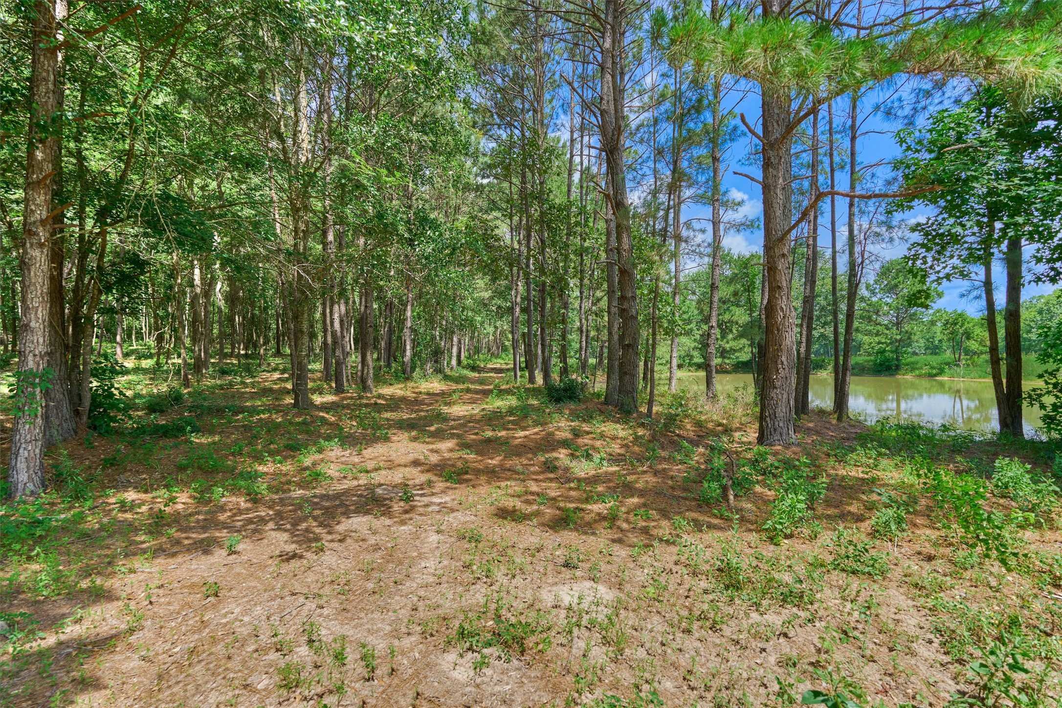 Tract B Sharp View Road Property Photo 10