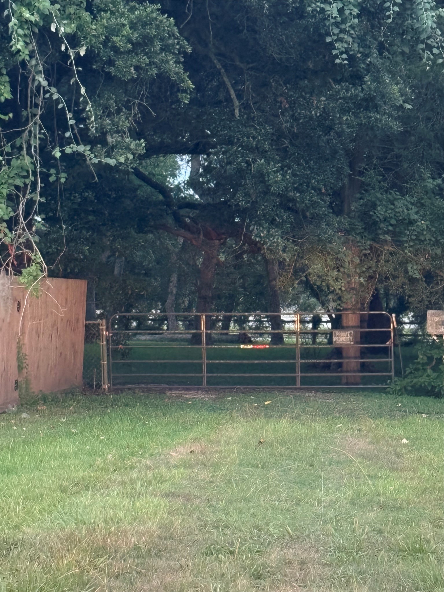 116 Balsam Street Property Photo 4