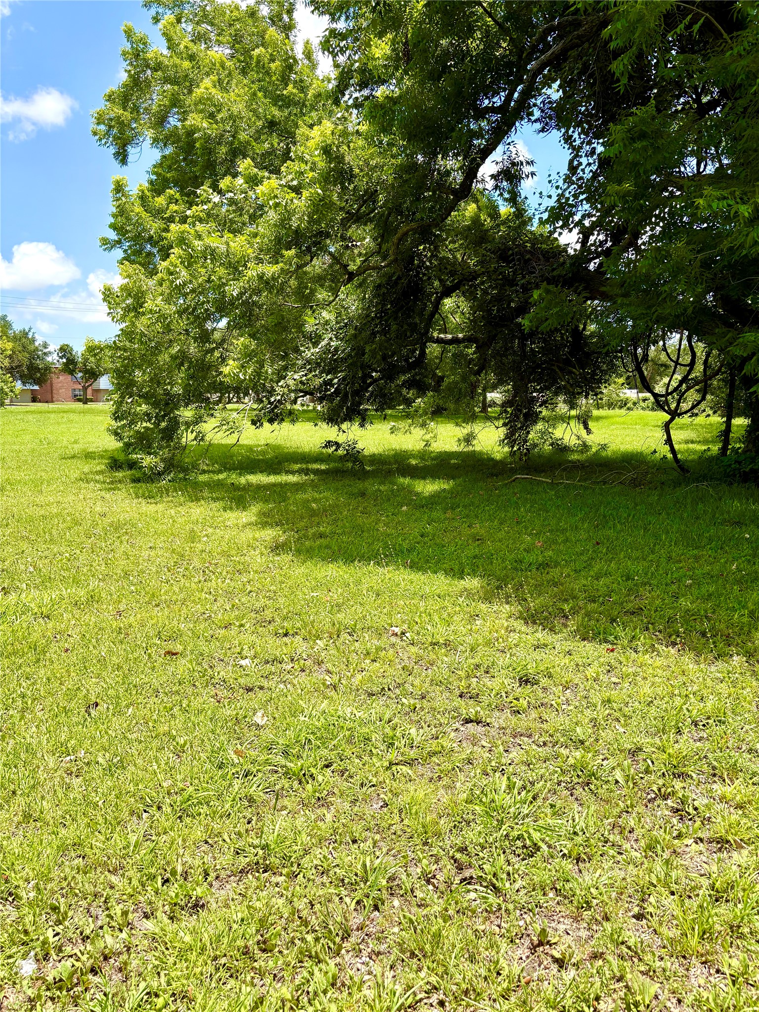 116 Balsam Street Property Photo 19