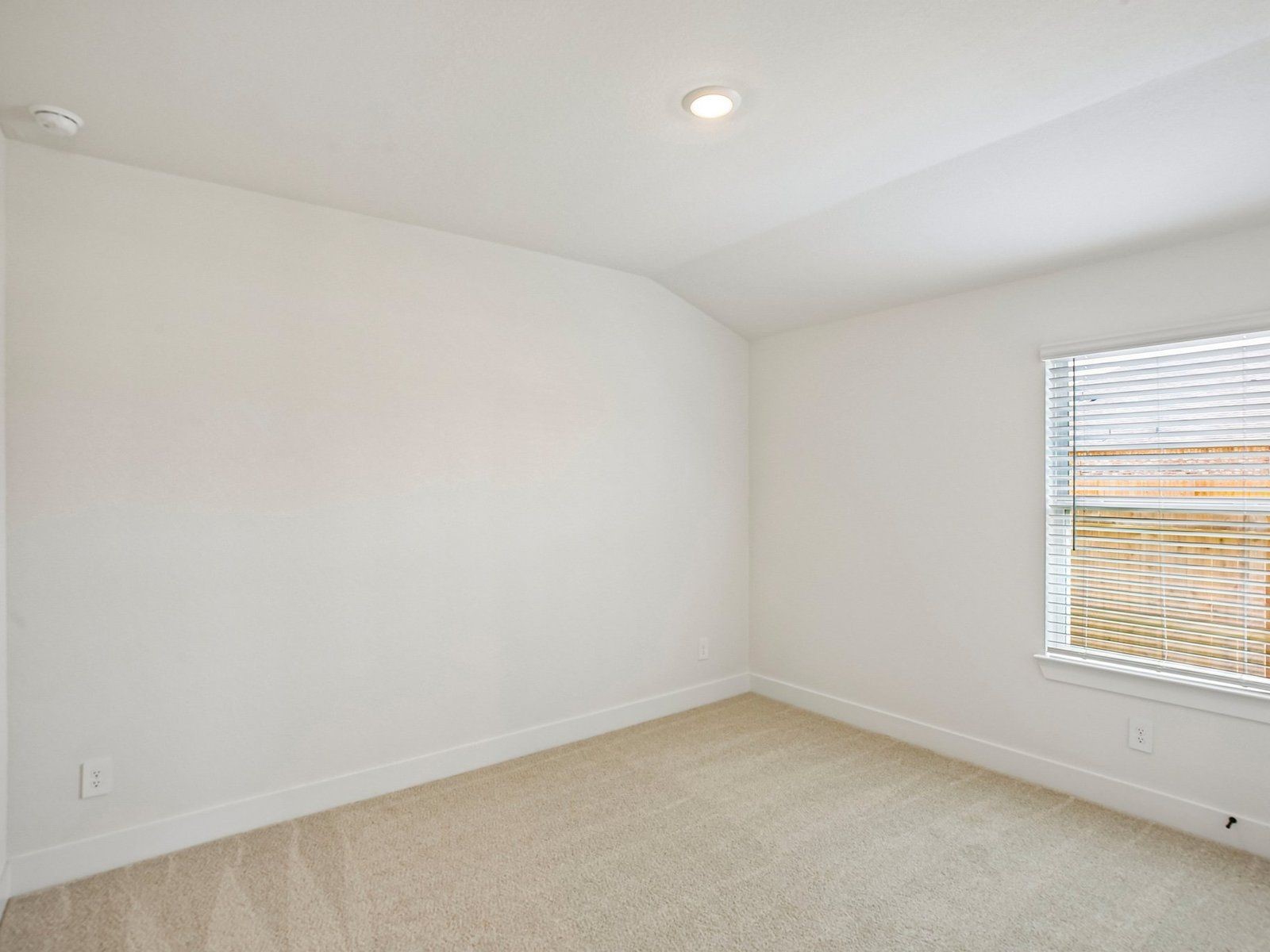 3003 Clapbread Lane Property Photo 21
