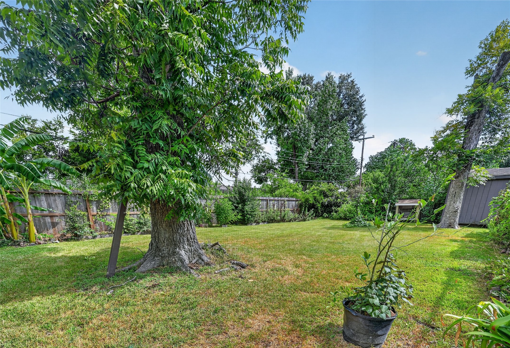 3106 Laverne Street Property Photo 19
