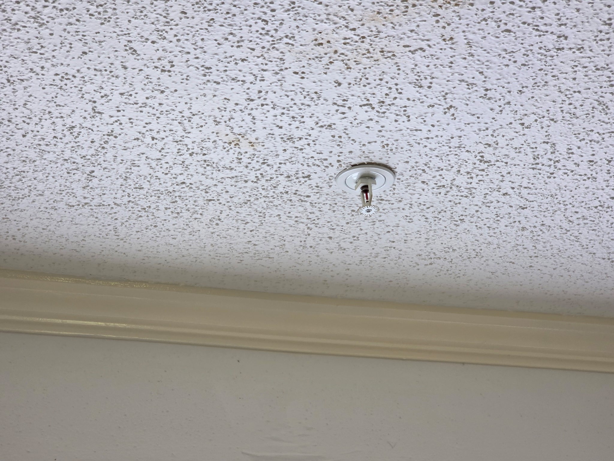 7507 Hablo Drive Property Photo 21