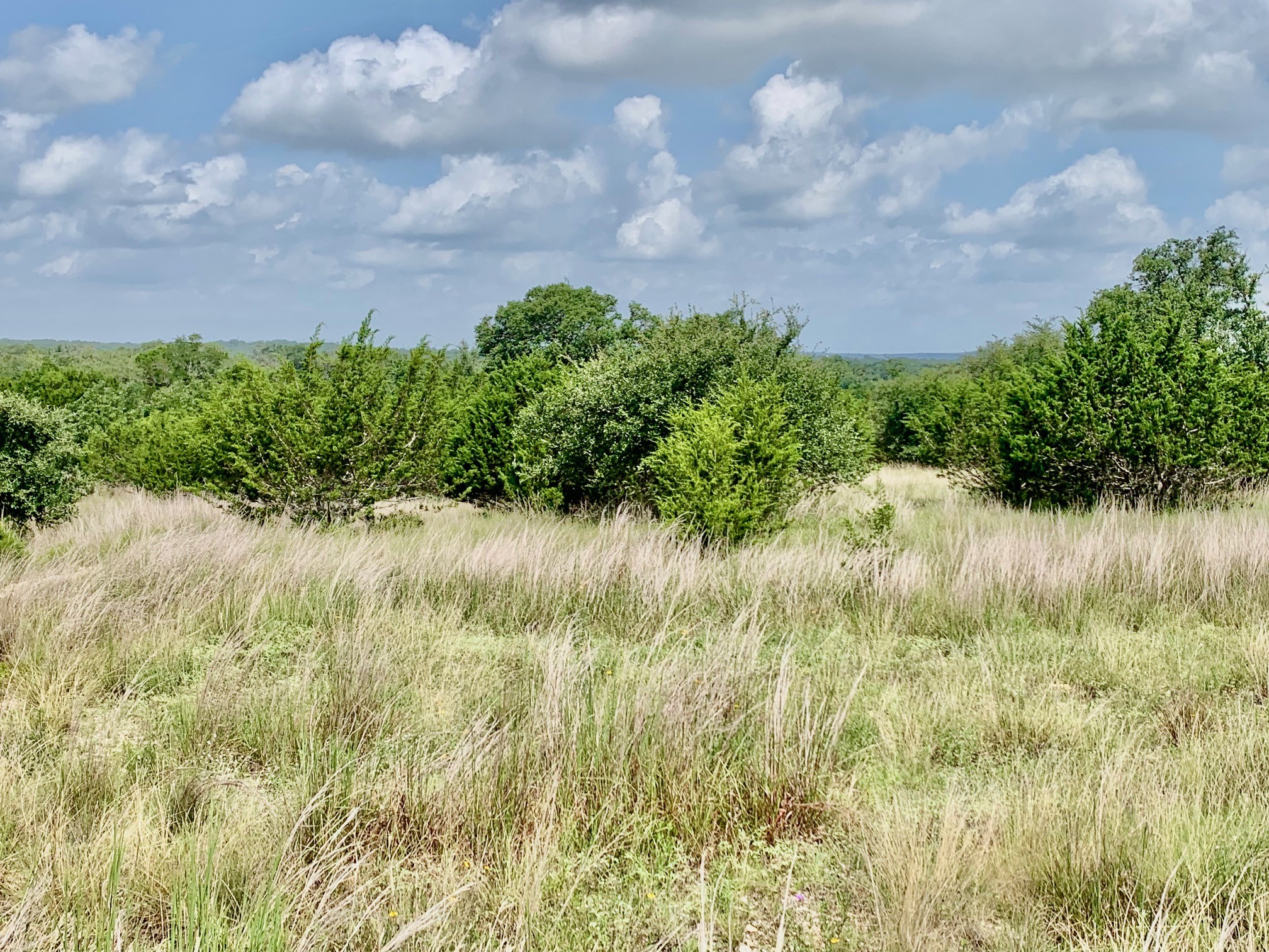 107 Ira Long Property Photo 1